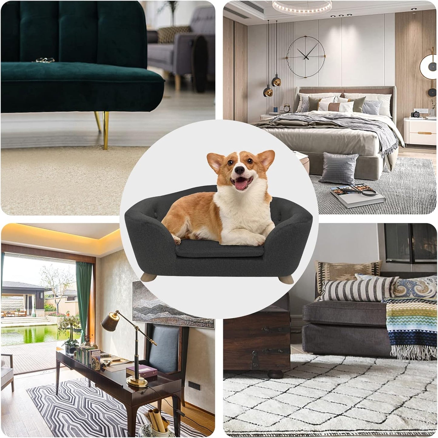 SHAVI Pet Sofa Dog Couch for Small Pet Dog and Cats, Low Back Lounging Bed with Velvet Modern Cat Couch Easy-to-Clean(Deep Grey)