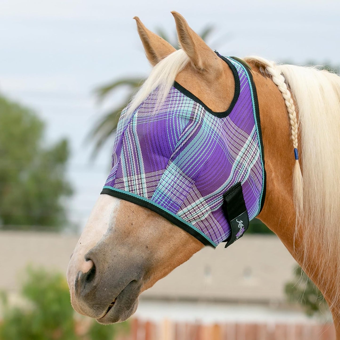 Kensington Fly Mask Web Trim Protects Horses Face and Eyes from Bites and Sun Rays While Allowing Full Visibility Ears and Forelock Able to Come Through The Mask, Medium, Lavender Mint