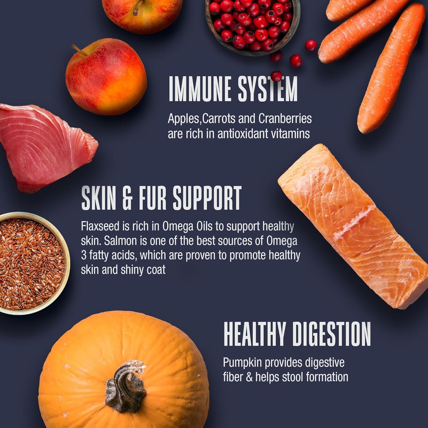 Whole Life Cat Freeze Dried Cat Food - Human-Grade Wet Food Toppers, Single Ingredient Snacks & Lickable Treats, Instantly Hydrating Natural Broth Just Add Water, Made in USA - Salmon & Tuna, 3 Oz