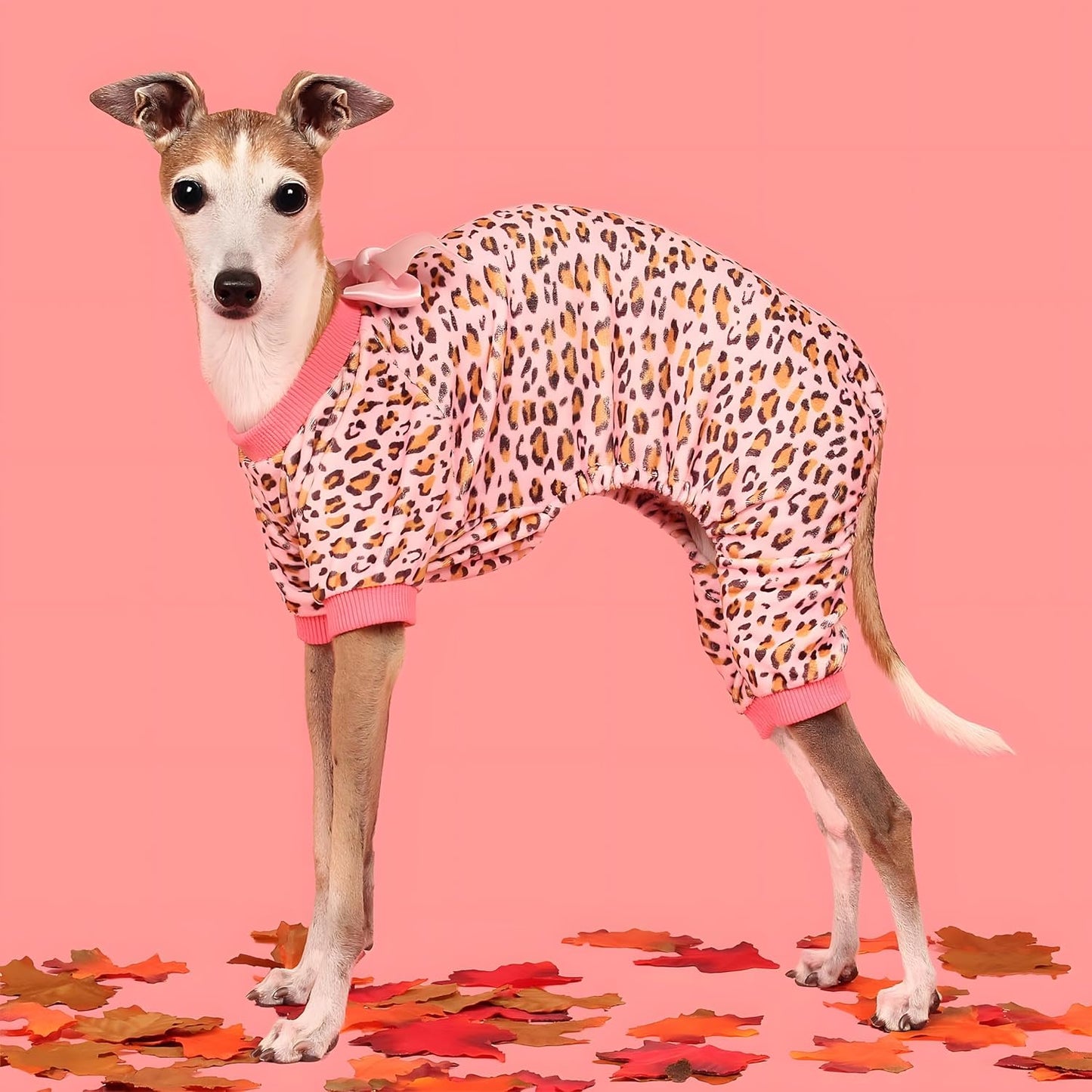 Fitwarm Leopard Dog Pajamas, Fleece Dog Clothes for Small Dogs Girl with Legs, Pet Onesie, Cat Outfit, Pink, XL