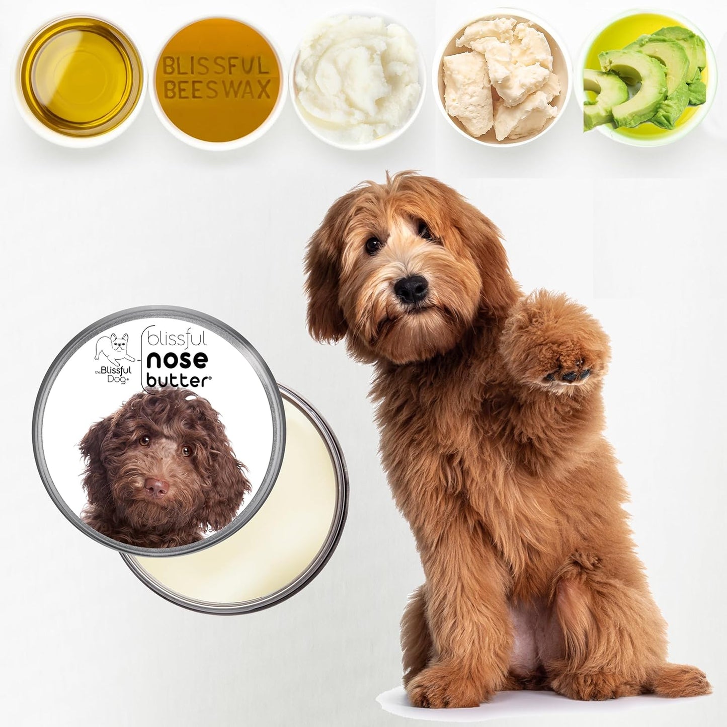 The Blissful Dog Labradoodle Nose Butter for Dry, Cracked Skin, Lick-Safe Dog Nose Balm with Moisturizing Shea Butter, Almond, Olive, and Essential Oils, Pet Supplies, Uncented, 8 oz.