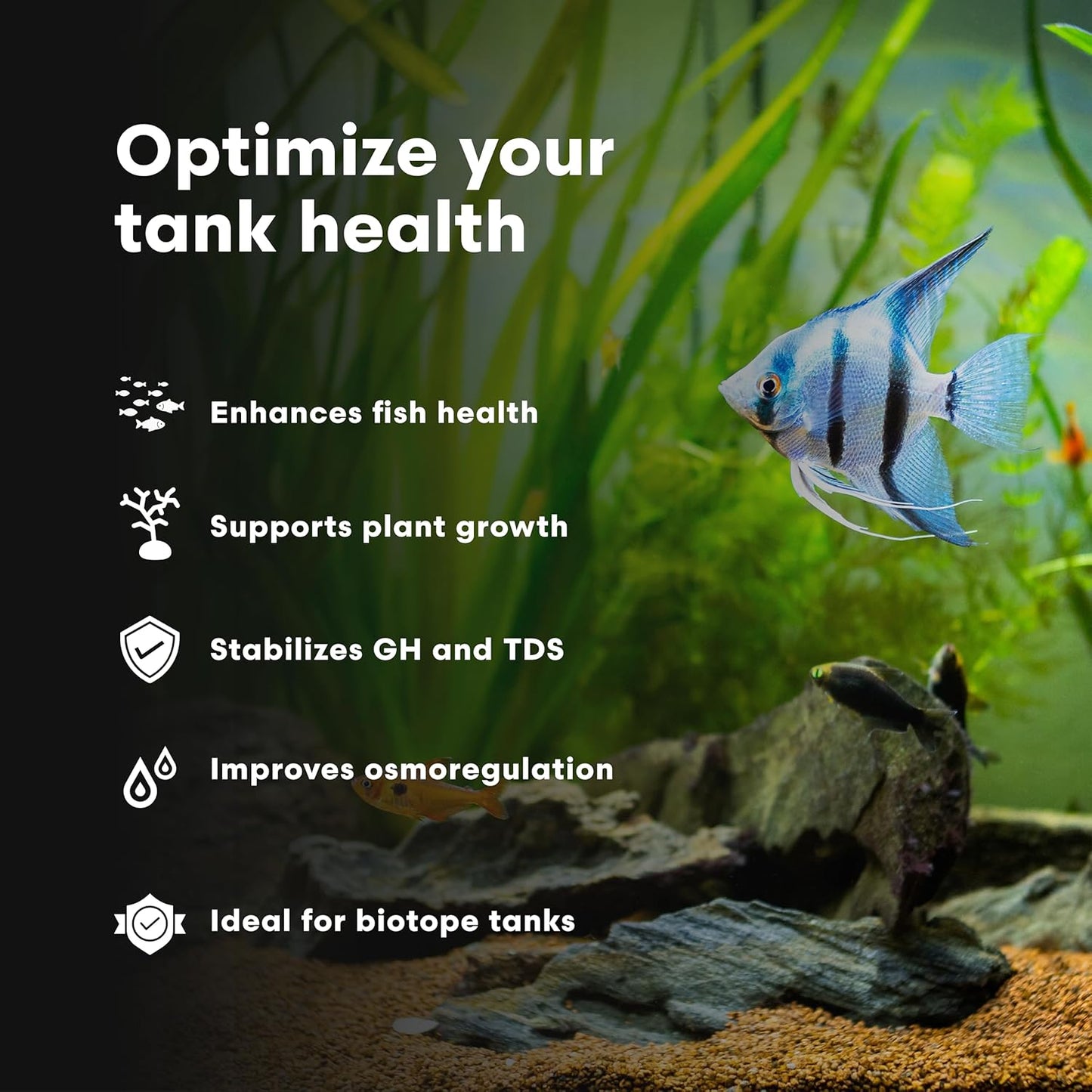 Brightwell Aquatics Remineralīz-P – Restores GH & TDS for Freshwater Aquariums, Replenishes Essential Minerals for RO & Distilled Water, Supports Fish & Plant Health, 500g