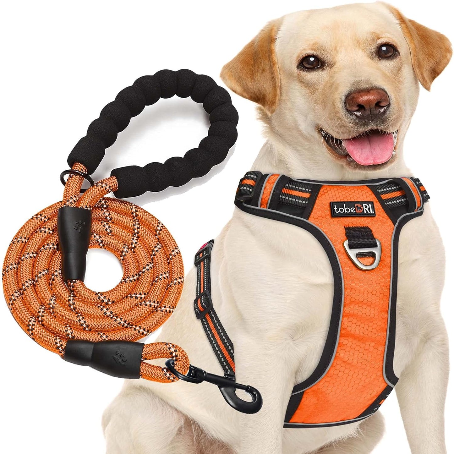 No Pull Dog Harness Adjustable Reflective Oxford Easy Control Medium Large Dog Harness with A Free Heavy Duty 5ft Dog Leash (S (Chest: 17.5"-21"), Orange Harness+Leash)
