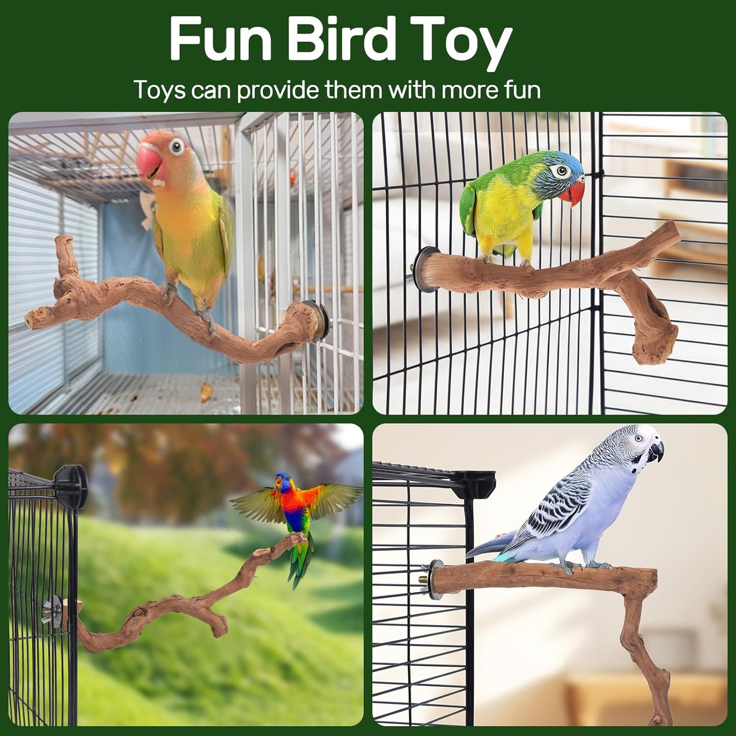 3-Piece Premium Bird Perch Stand with Natural Grape Wood Branch, Paw Grinding Fork, Chewing Stick, Cage Accessories for Parakeets, Budgies, Cockatiels, Finches, Lovebirds