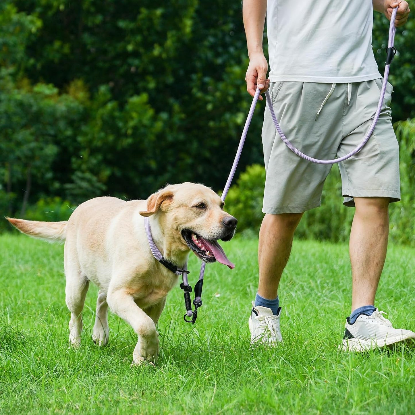 Rope Dog Leash, 4 ft Heavy Duty Dog Leash with Aviation Aluminum Auto Locking Carabiner, Strong Nylon Pet Lead for Small, Medium, Large Dogs (Rose Red, 4FT)