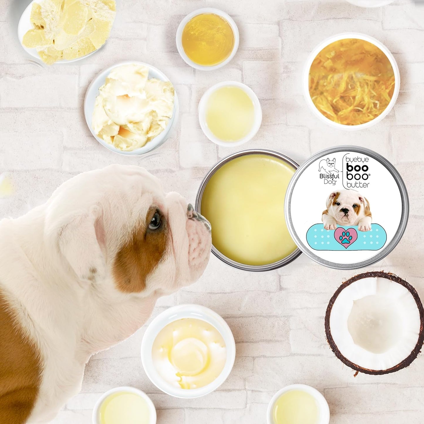 The Blissful Dog 4 oz TIN Bulldog Booboo Butter