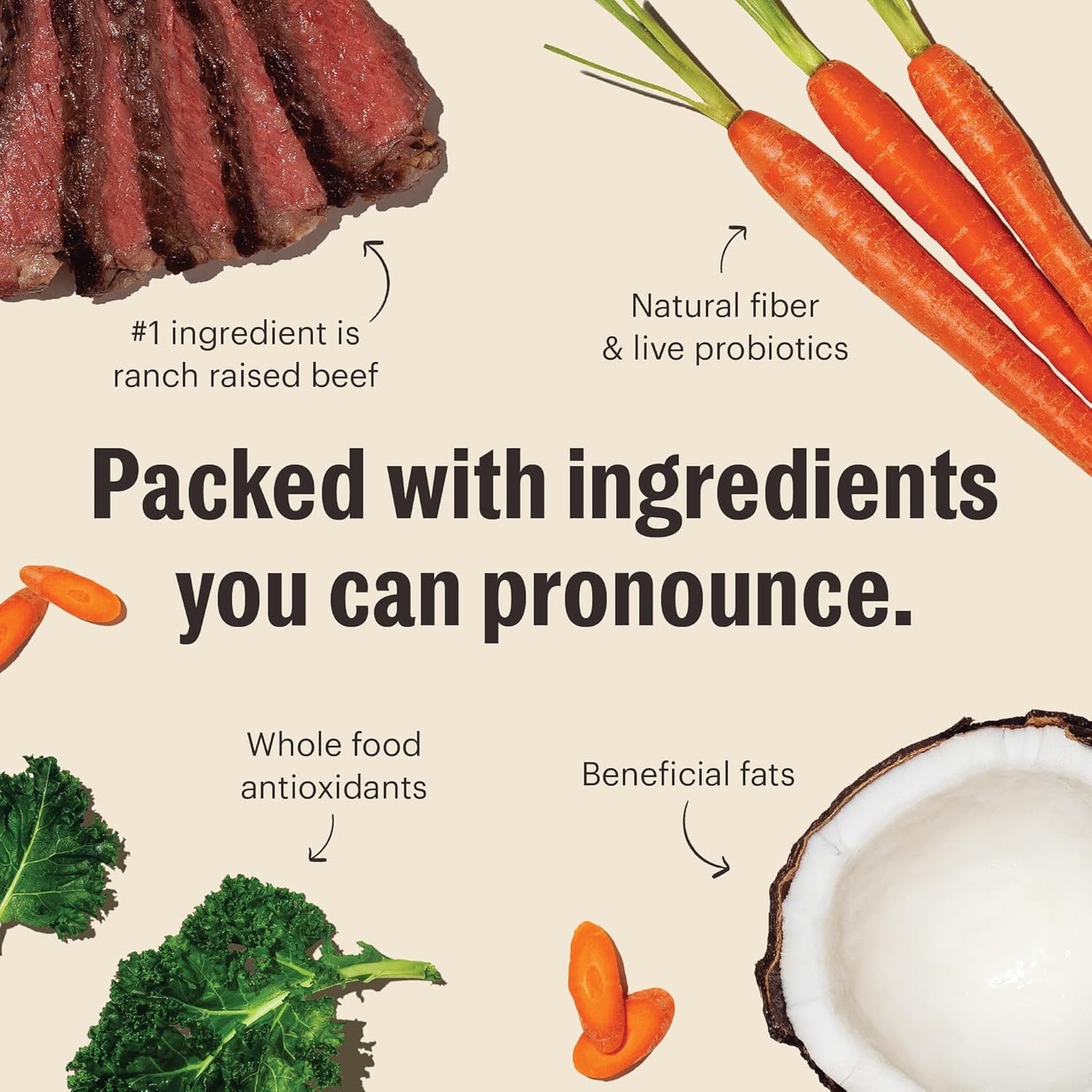 The Honest Kitchen Whole Food Clusters Grain Free Beef Dry Dog Food, 20 lb Bag