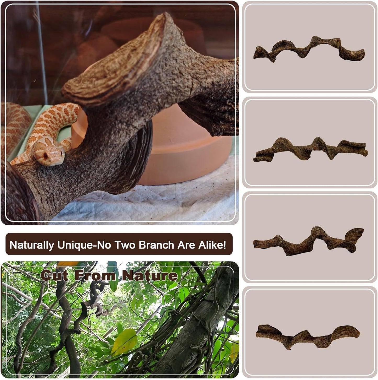 BNOSDM 3Pcs Reptile Climbing Branches Decor,Snake Climbing Branch,Gecko Climb Wood,Lizard Forest Branch,Tank Habitat Tree Trunk Decorations for Bearded Dragons,Chameleons,Spider,Frogs (M)