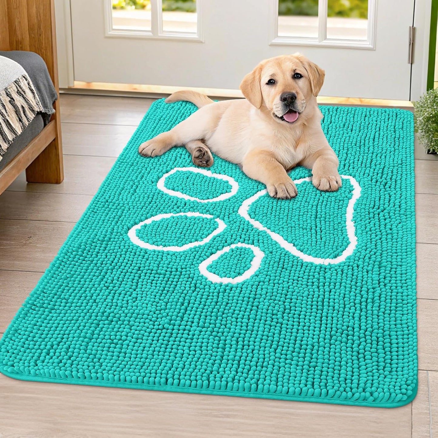 Smiry Dog Door Mat for Muddy Paws, Absorbent Dirt Trapper Non Slip Quick Dry Washable Chenille Mat for Mud Dogs, Entry Rug for Indoor and Outdoor (40x32 Inches, Turquoise)