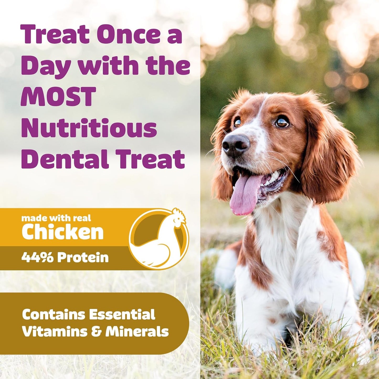 Dog Dental Treats – Vet VOHC Approved – Delicious Chicken Protein – Removes Tartar with Cleaning Comb Shape – Dental Dog Treats for Small Dogs (12oz, 21 Count)
