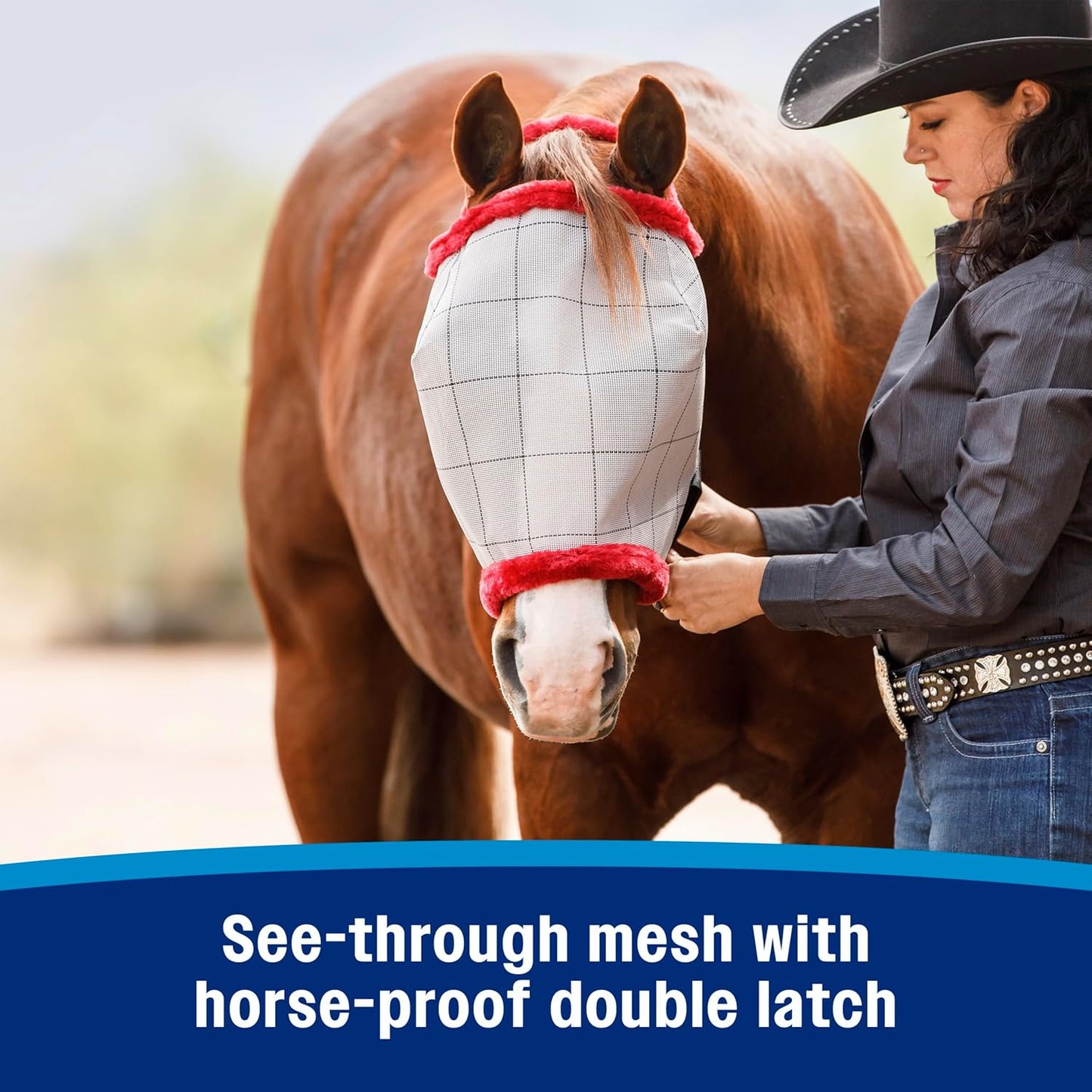 Farnam SuperMask II Fly Mask Without Ears for Smaller Horses or Arabian Horses,Full Face Coverage & Eye Protection from Insect Pests, Structured Classic Mesh with Plush Trim,Small Horse/Arabian Size