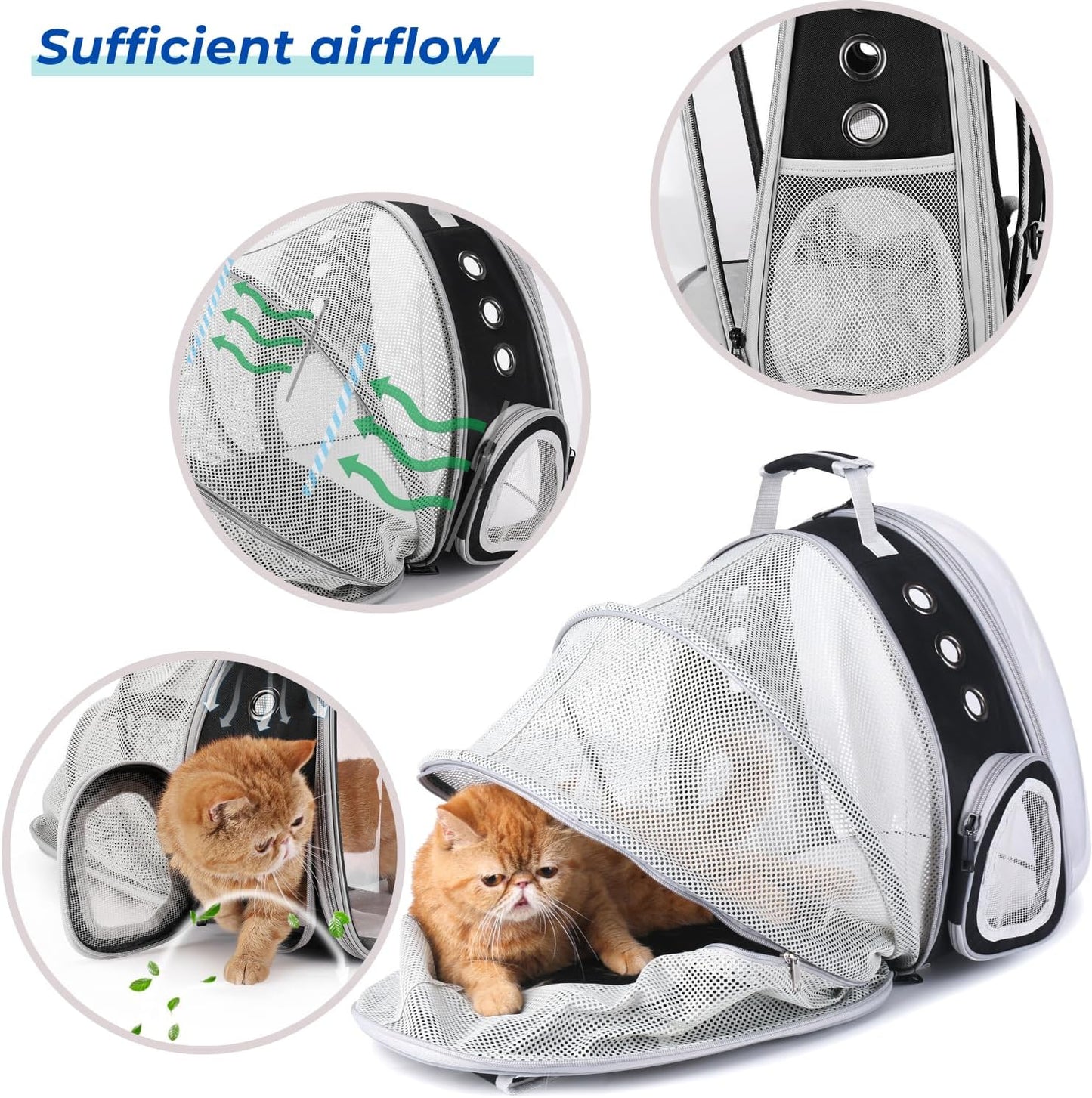 Lollimeow Cat Carrier Backpack, Bubble Expandable Backpack Carrier, Pets and Small Dogs,Airline-Approved, Designed for Travel, Hiking, Walking & Outdoor Use (Back Expandable-Black)