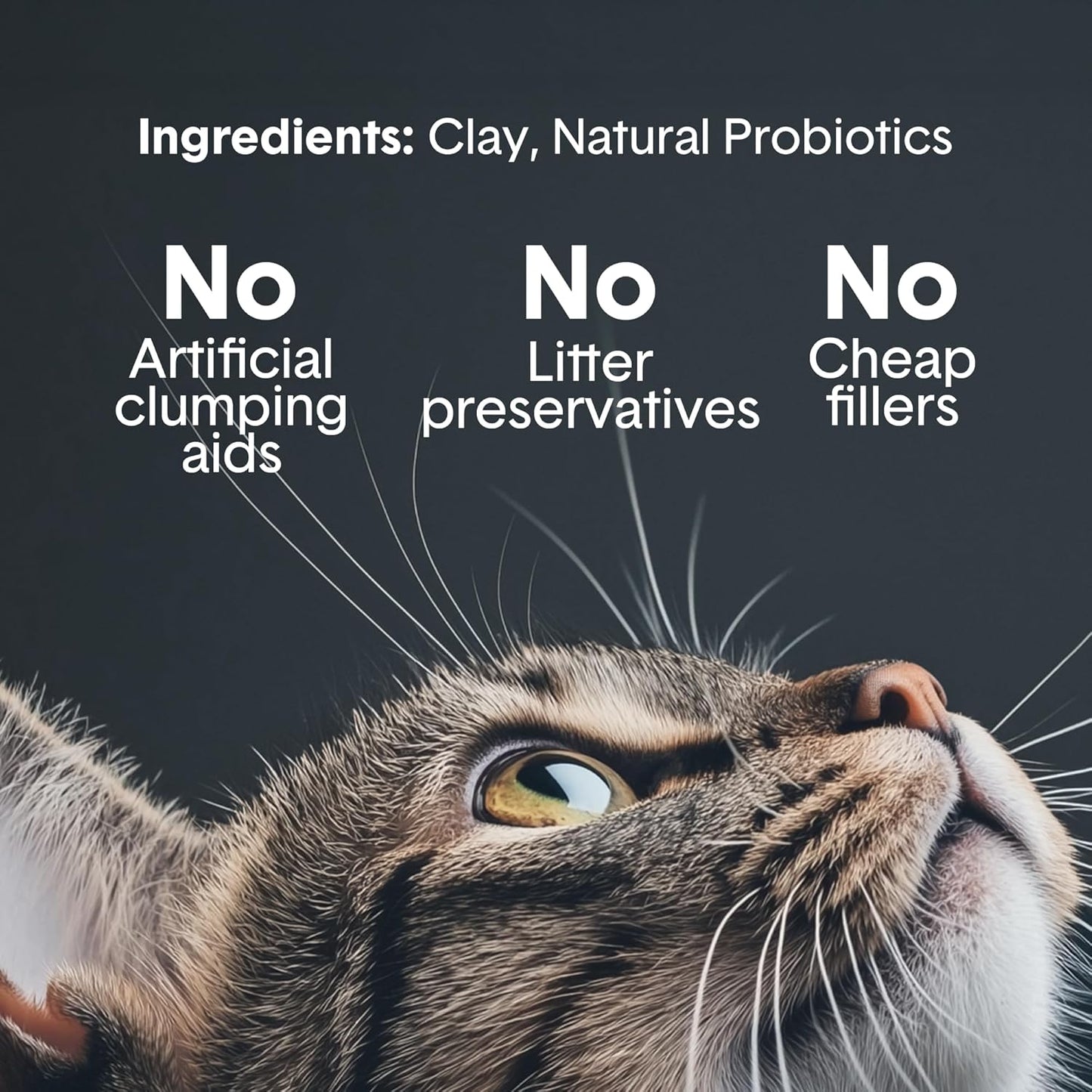 Boxie Probiotic Cat Litter, 40 Day Odor Control, Clumping Clay Kitty Litter, Odor Eliminating Probiotics, Dust-Free, No Fragrances No Fillers, 28 lb