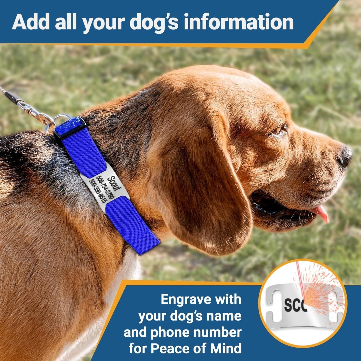 GoTags Reflective Personalized Dog Collar with Nameplate, Adjustable Dog Collar with Custom Engraved Steel Slide On Pet ID Tag, Silent, No Noise Dog Tag for Large Medium or Small (Lavender, Large)