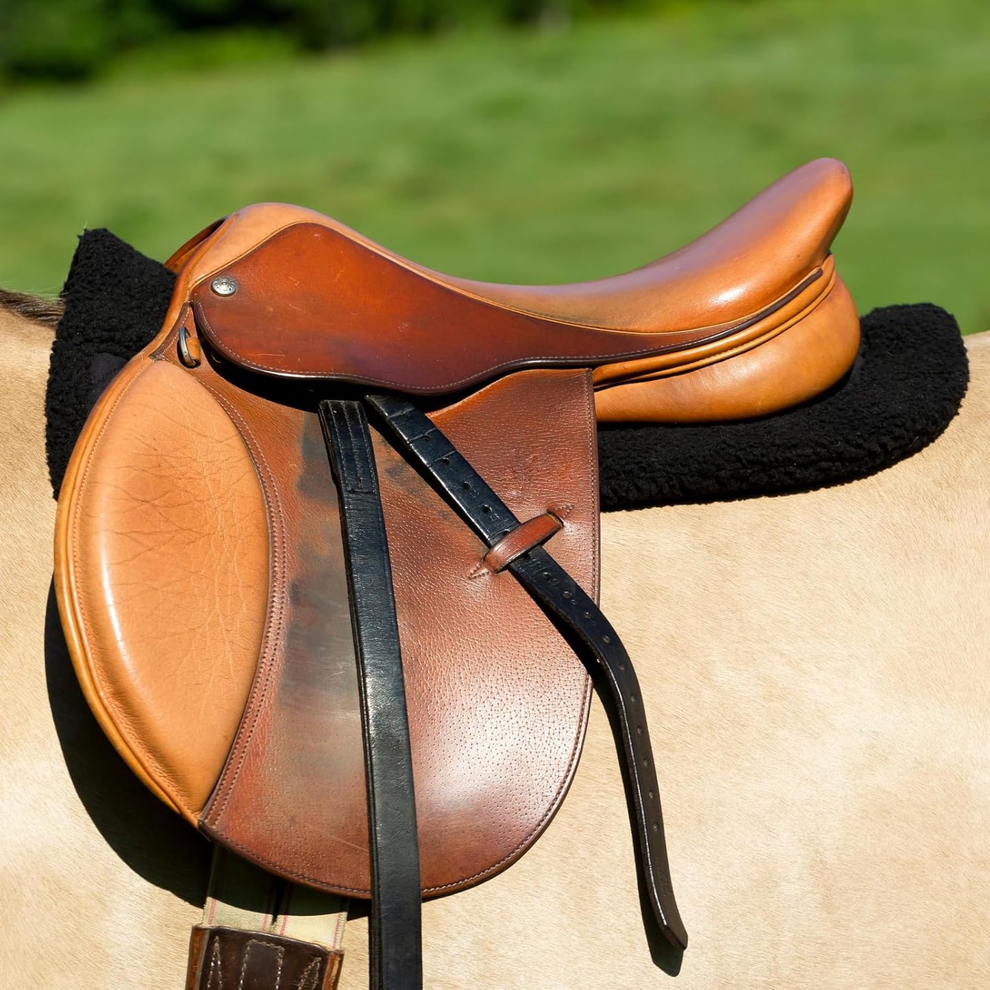 HORZE Fur Half Pad | Durable, Breathable, Non-Slip Correction Saddle Pad
