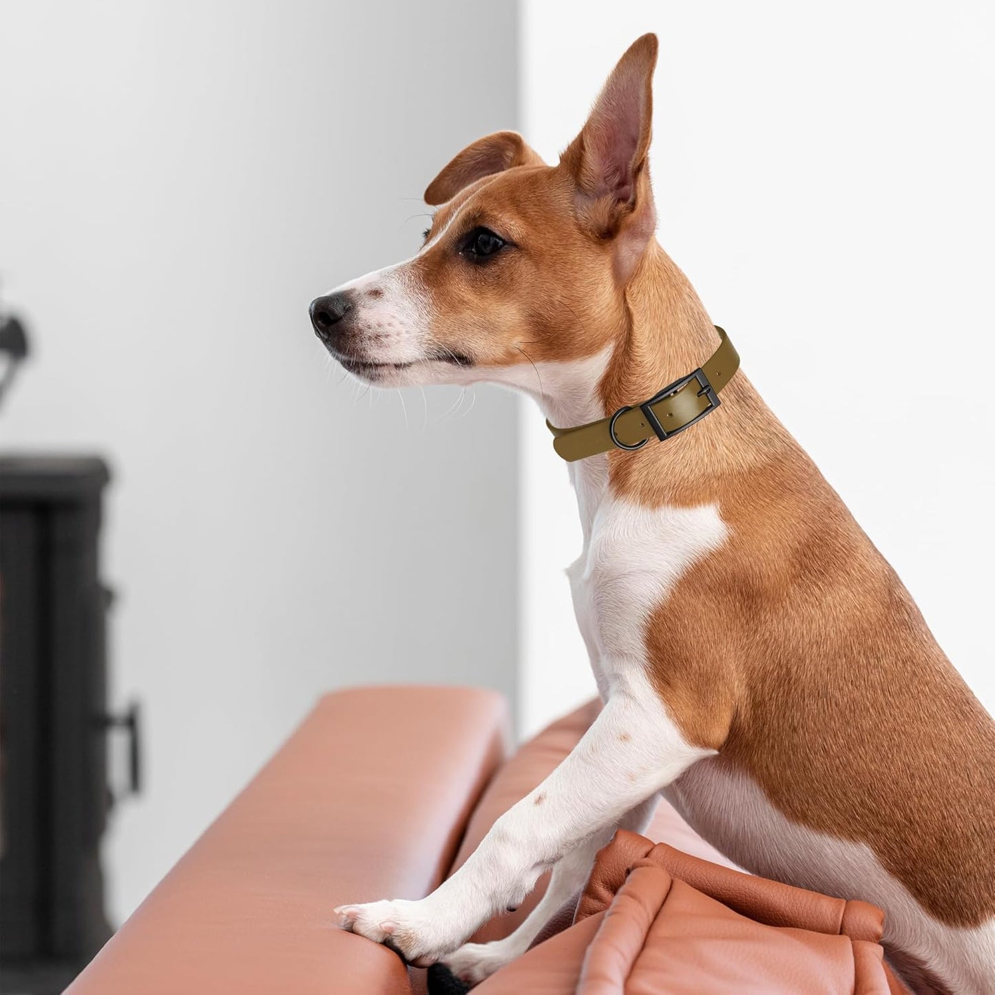 Dogline Biothane Waterproof Dog Collar Strong Coated Nylon Webbing with Black Hardware Odor- Proof for Easy Care Easy to Clean High Performance Fits Small Medium or Large Dogs, Coyote Brown