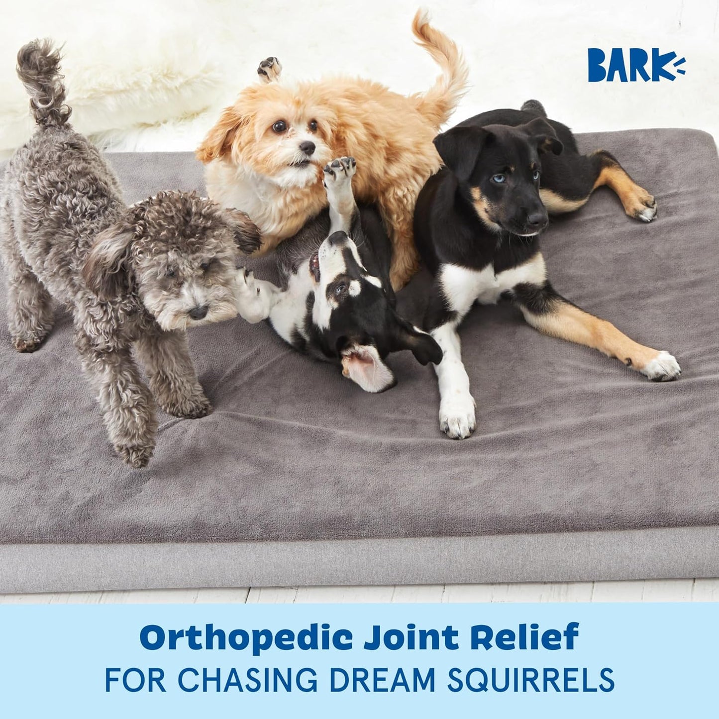 Barkbox Orthopedic Dog Bed with Memory Foam, Premium Comfort for Dogs and Puppies, Dog Bed for Joint Relief and Restful Sleep, Durable and Easy to Clean - Grey, XL