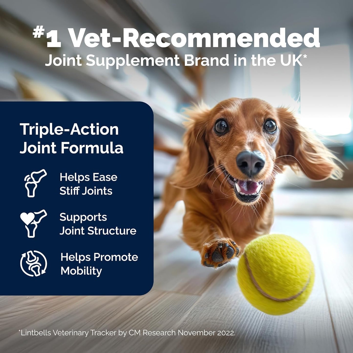 YuMOVE Hip & Joint Supplement for Dogs - With Glucosamine Chondroiton, Green Lipped Mussel , Hyaluronic Acid, and Omega 3 Joint Supplement for Stiffness and Mobility - 60 Chews (Small/Medium Dogs)