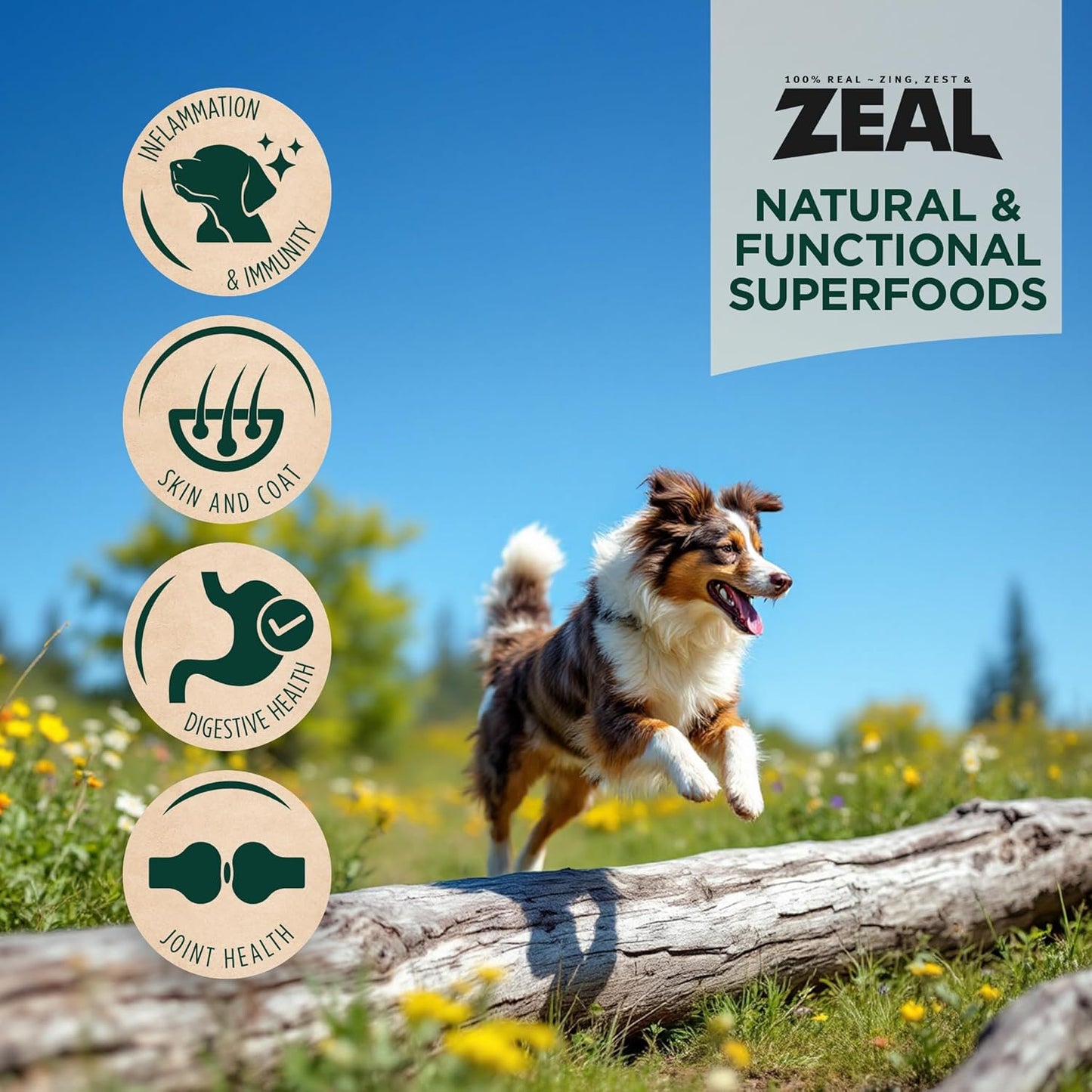 ZEAL Canada Air-Dried Beef Recipe for Dogs - High Protein, Natural Superfoods, Nutrient Rich, No Fillers, Grain Free, Complete & Balanced (Beef, 2.2 lb)