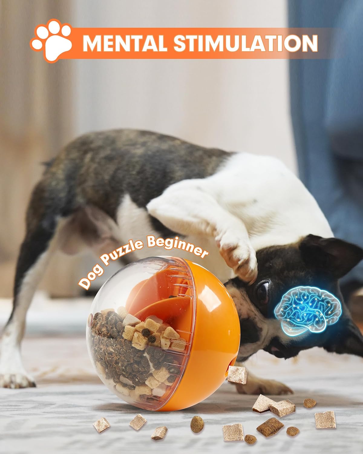 Enrichment Interactive Dog Treat Toy - Level 1 Mental Stimulation for Dogs，Mentally Stimulating Dog Toys for Boredom Busy (Beginner-Orange 5.6" Squeaky Ball)