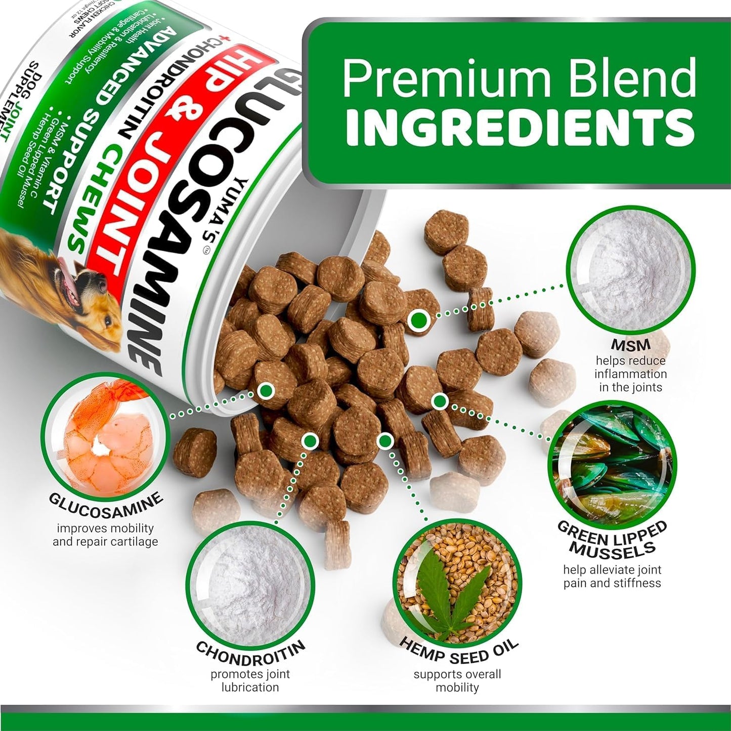 YUMA'S (2 Pack) Glucosamine for Dogs - Hip and Joint Supplement for Dogs - Glucosamine Chondroitin Chews - Joint Pain Relief Supplement with MSM - Advanced Health - Mobility Support - Made in USA