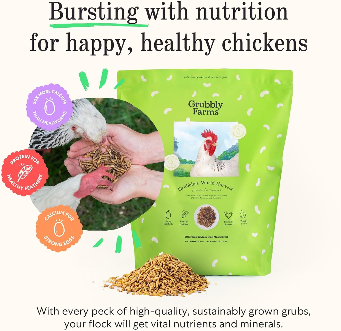 Grubblies - Switch from World Harvest to Hometown Harvest for Premium Chicken Nutrition - Grubblies World Harvest 5LB