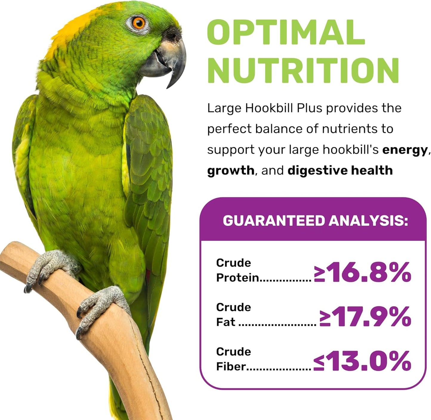 Large Hookbill Plus 5 Lbs, Bird Food for Large Hookbill, Premium Bird Seeds, Supports Growth Energy and Digestive Health, Nutrient-Rich Parrot Birdseeds for Complete & Healthy Balanced Diet