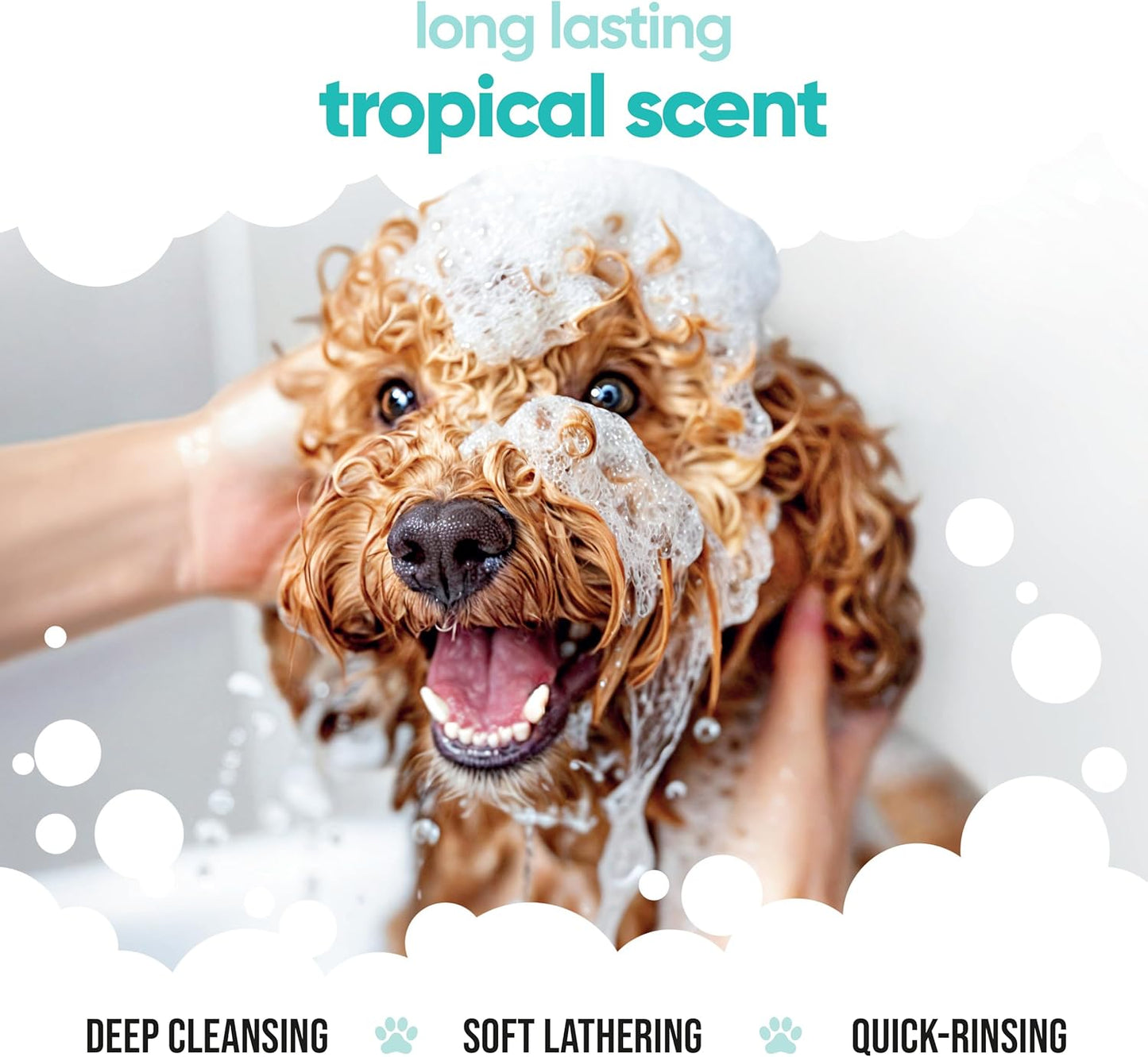 Tropical Dog Shampoo by Buddycare | Deep Cleansing Shampoo for Dogs | Tropical Scented | with Aloe Vera and Pro Vitamin B5 (33.8oz)