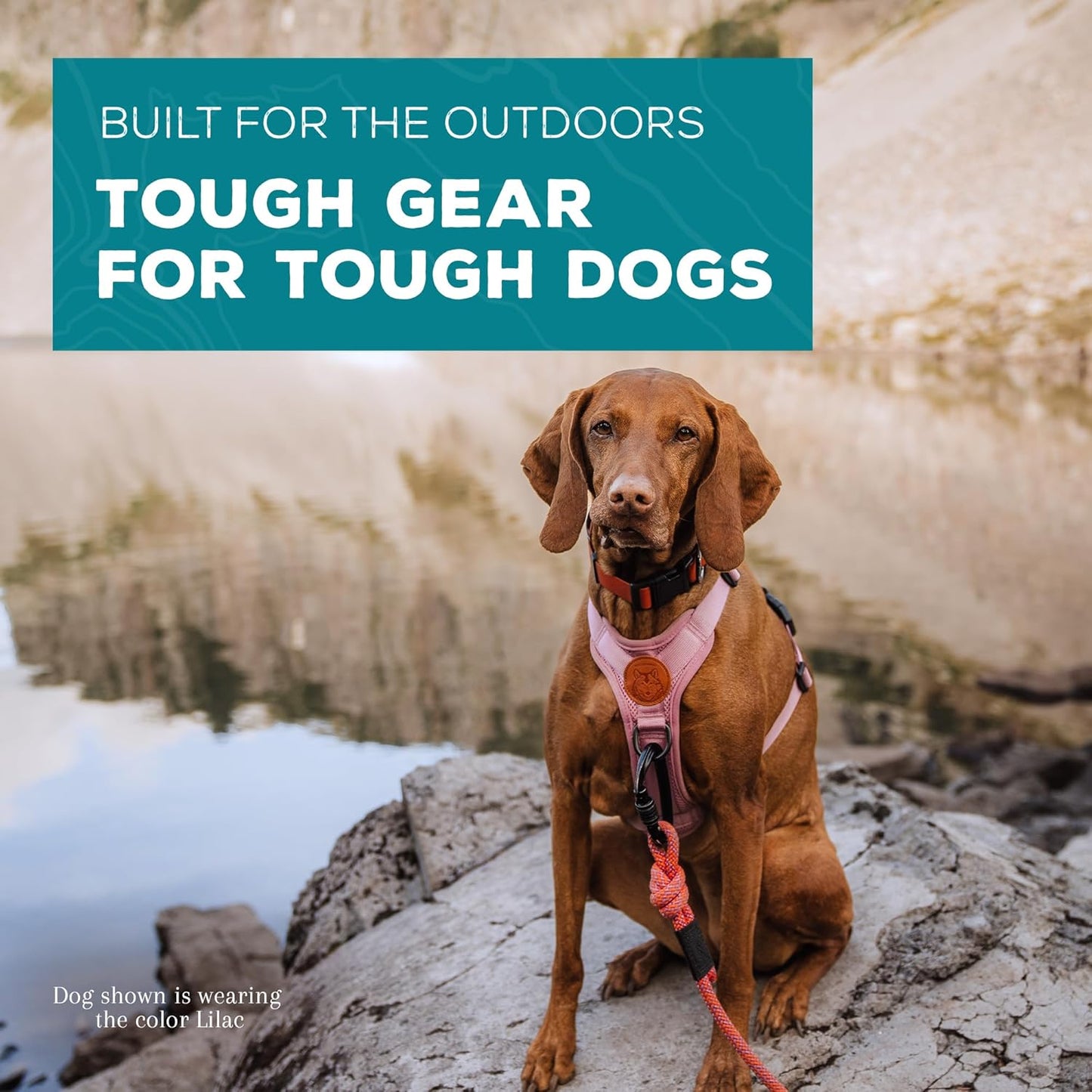 Wilderdog Lightweight Dog Harness with Reflective Straps - Large - Lilac