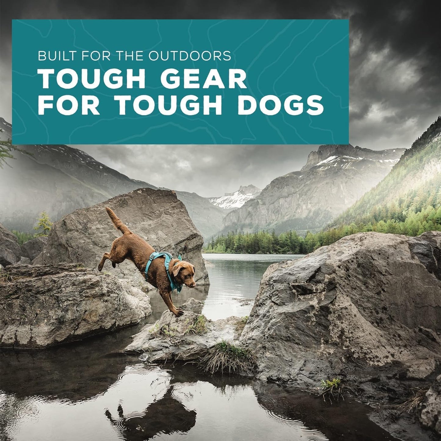 Wilderdog Lightweight Dog Harness with Reflective Straps - Large - Olive