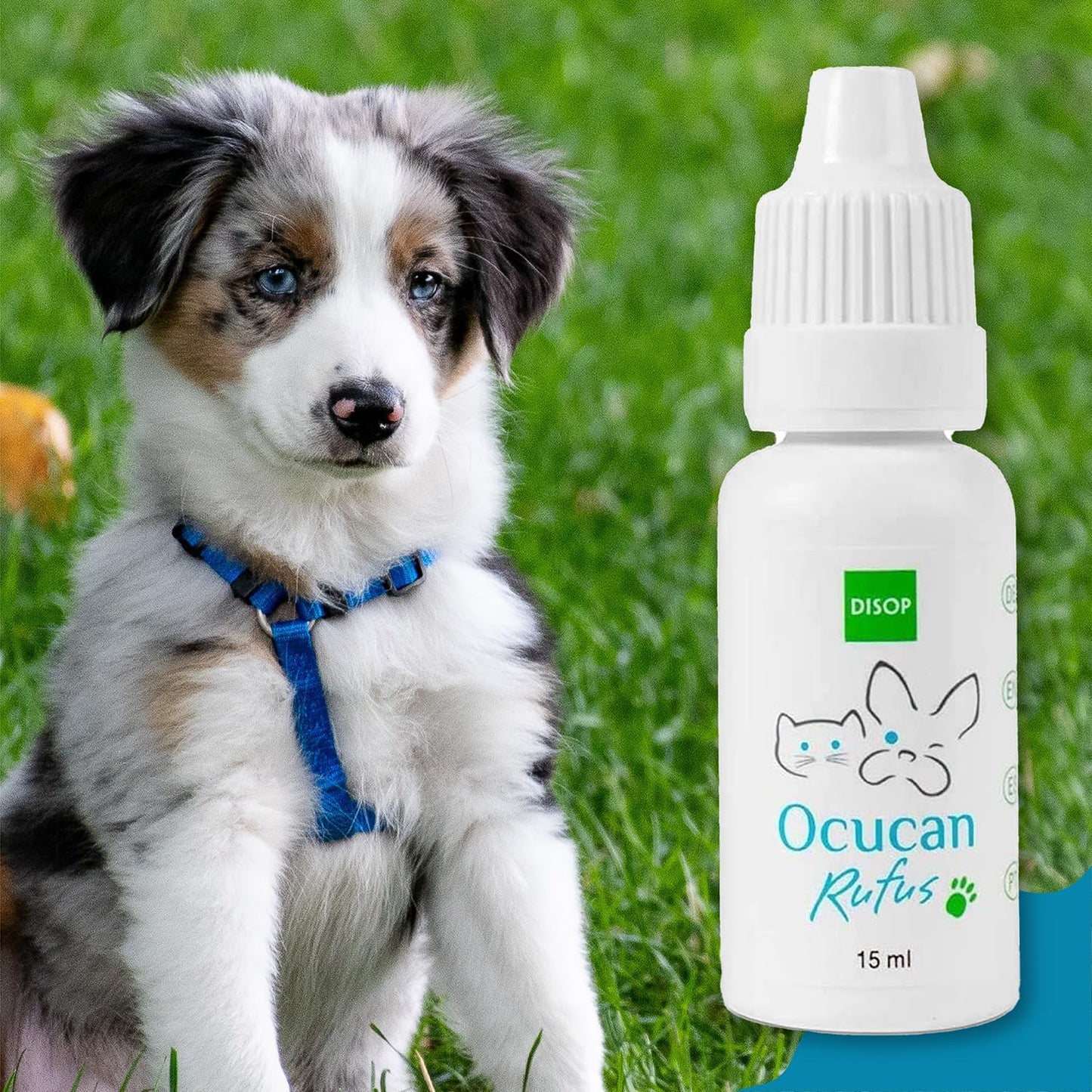 Dog Eye Drops with Hyaluronic Acid – Lubricating Tear Relief for Dry, Irritated Eyes – Soothing Eye Lubricant for Dogs and Cats,15 ml (0.5 fl oz)