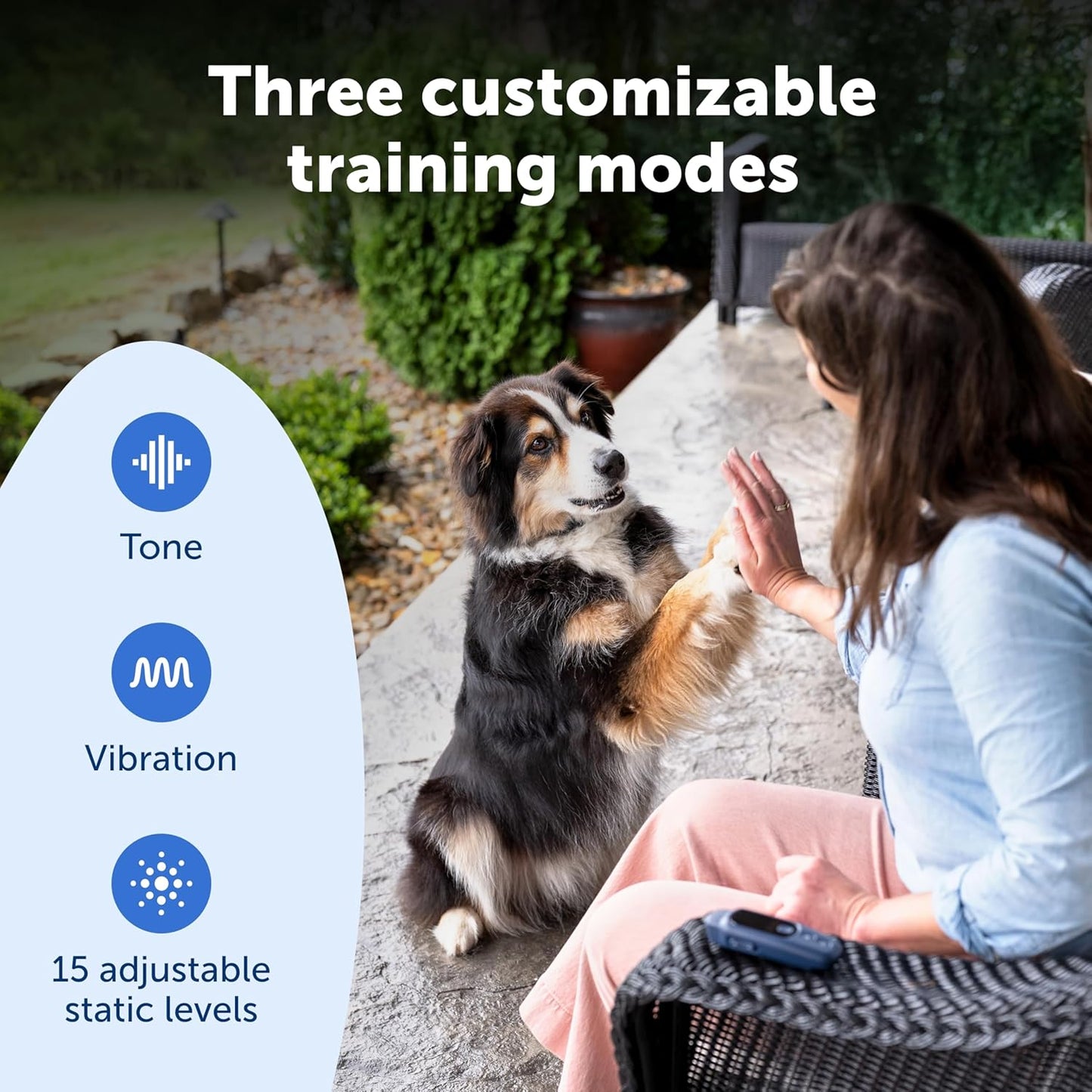 PetSafe Core Remote Trainer Add-A-Dog Collar – Extra Collar for Dog Training Collar with Remote – Waterproof – Tone, Vibration and 15 Levels of Static – Built-in LED Light