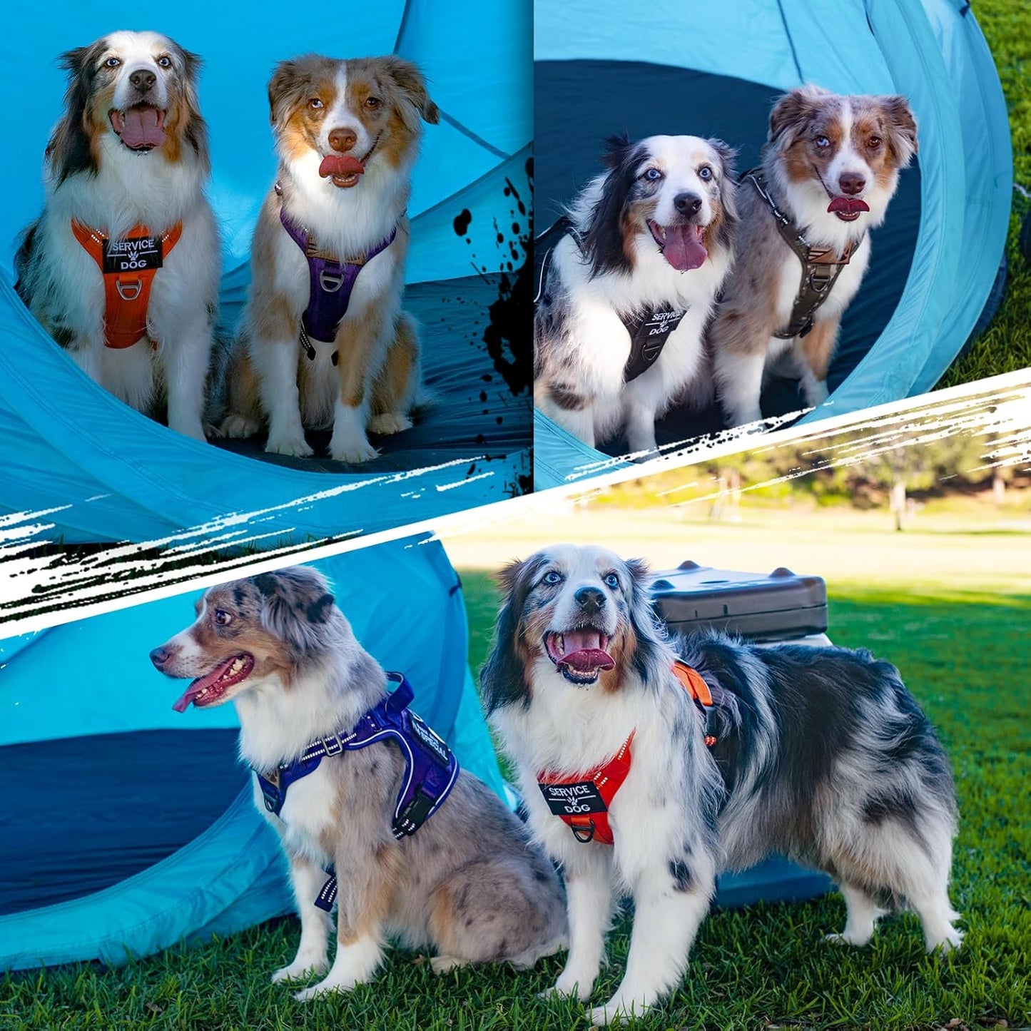 rabbitgoo Dog Harness No Pull, Military Dog Harness Medium Sized Dog with Handle & Molle, Easy Control Service Dog Vest Harness Training Walking, Adjustable Reflective Tactical Pet Harness, Blue, M