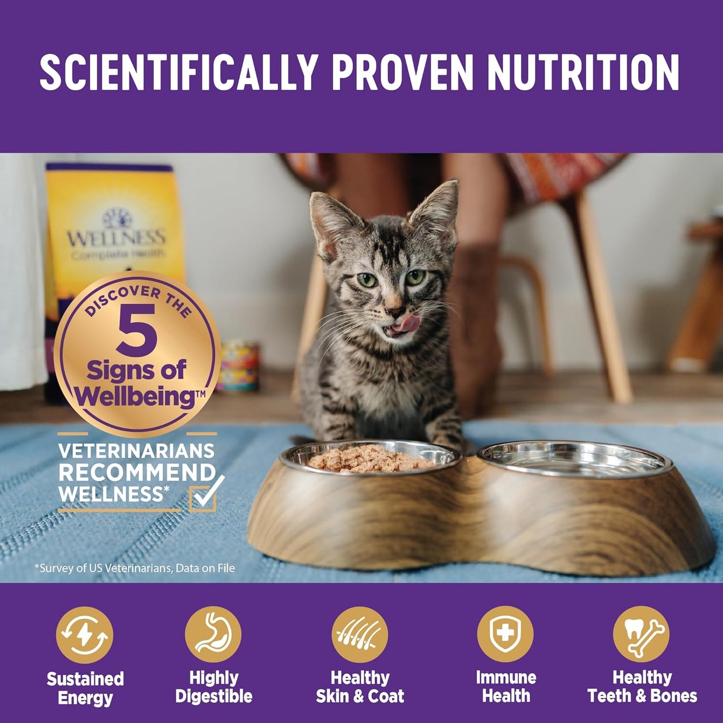 Wellness Complete Health Gravy & Minced Adult Wet Cat Food, Natural, Protein-Rich, Grain Free, 3 Ounce, 12 Pack, (Salmon, Tuna, and Chicken Variety Pack)
