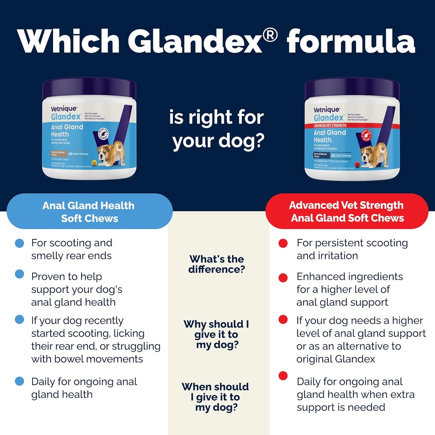 Vetnique Glandex Anal Gland Health Soft Chew Treats with Pumpkin for Dogs Digestive Enzymes, Probiotics Fiber Supplement for Dogs Boot The Scoot (Advanced Strength Duck/Bacon Chews (Veg), 30 Count)