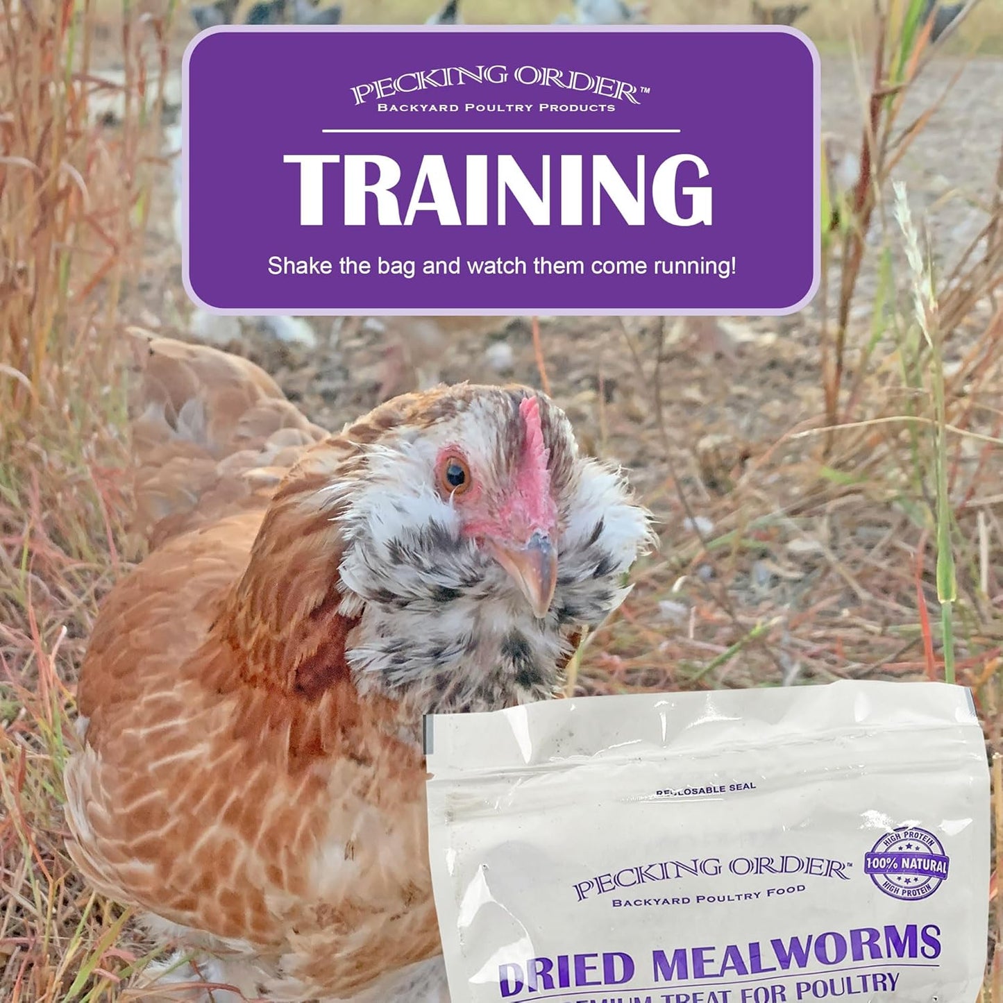 Pecking Order Dried Mealworms, 11 lbs