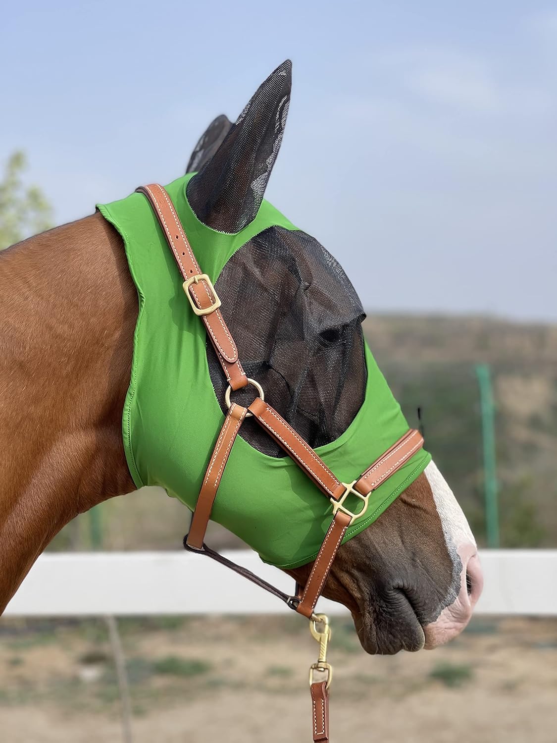 Horse Fly Mask Super Comfort Horse Fly Mask Elasticity Fly Mask with Ears We Only Make Products That Horses Like… (Hunter Green, L)