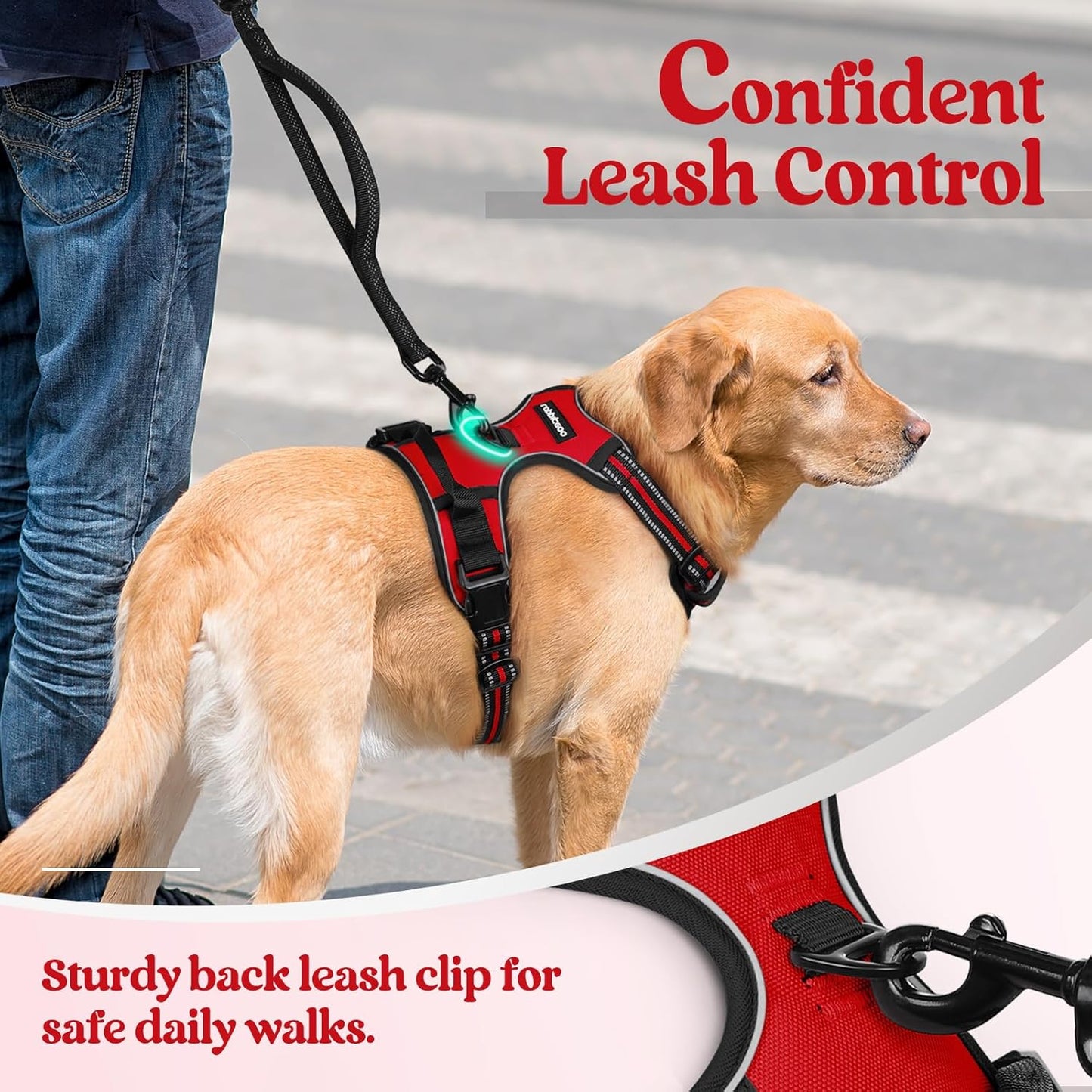 rabbitgoo Dog Harness No Pull with 2 Leash Clips, Adjustable Soft Padded, Reflective Oxford No Choke Pet Vest with Easy Control Handle for Small Dogs, Red, S