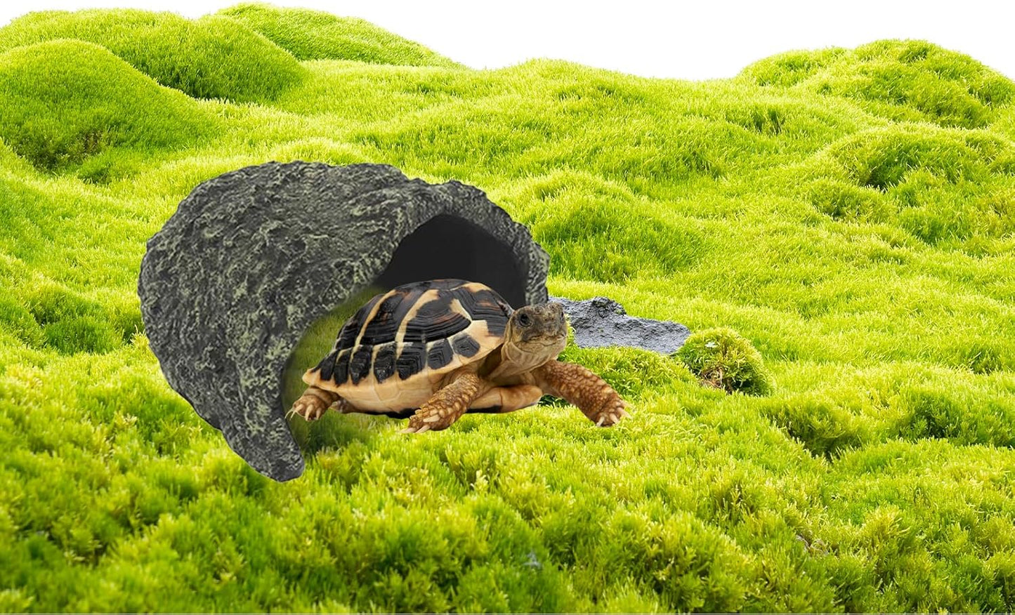Large Rock Cave Hideout for Reptiles & Amphibians - Ideal for Bearded Dragons, Turtles, Snakes, Lizards, Geckos, Tortoises & Small Pets - Terrarium & Aquarium Decor, Safe Reptile Habitat