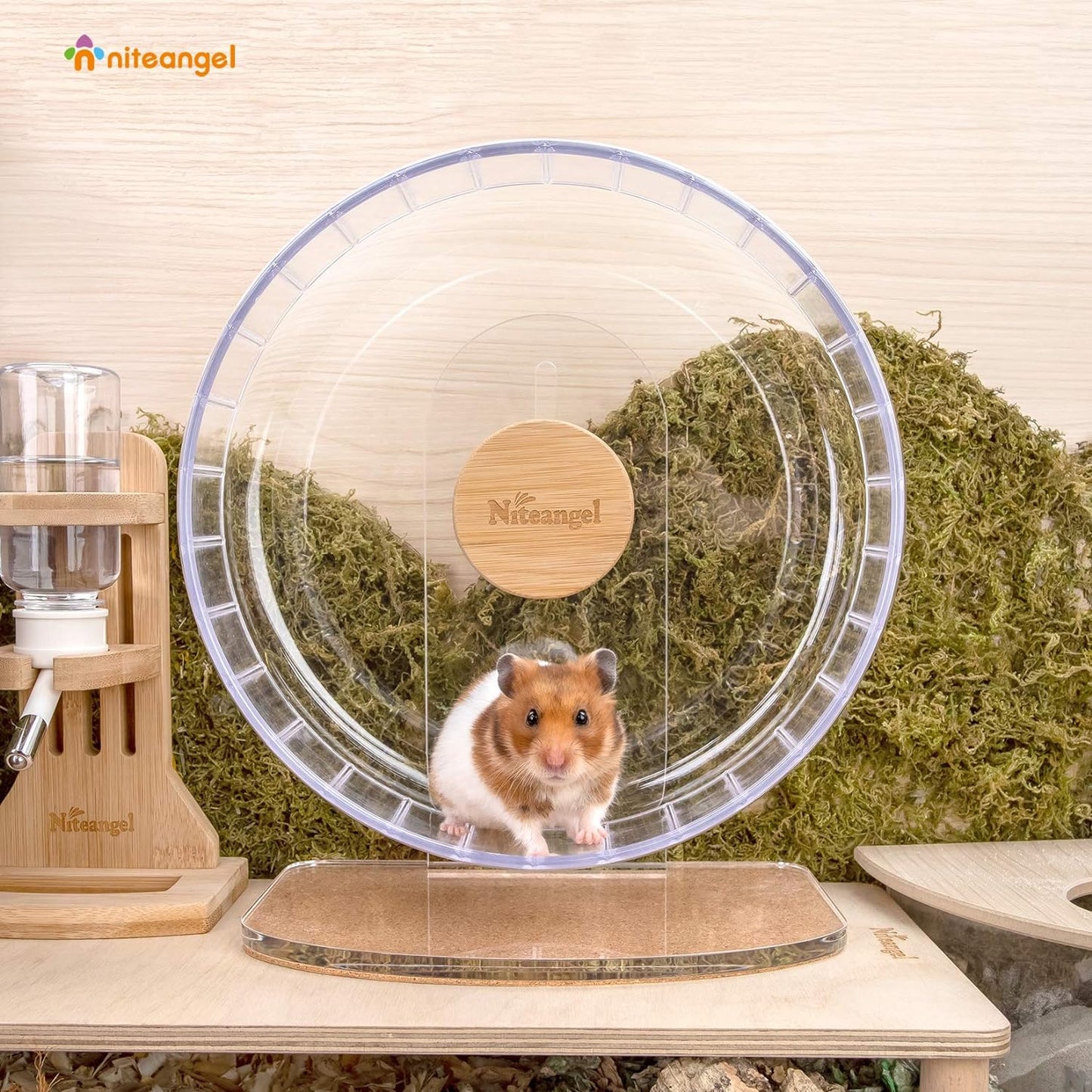 Niteangel Super-Silent Hamster Exercise Wheels - Quiet Spinner Hamster Running Wheels with Adjustable Stand for Hamsters Gerbils Mice Or Other Small Animals (M, Transparent)