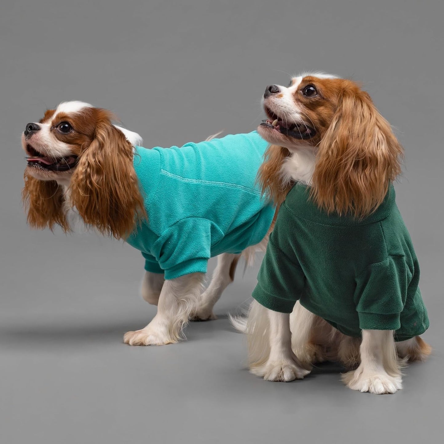 Fitwarm 3 Pack Fleece Dog Sweater, Turtleneck Dog Sweatshirt, Dog Winter Clothes for Small Dogs Boy Girl, Pet Pullover Jumper, Cat Apparel, Dark Green, Teal Green, Olive Green, XS