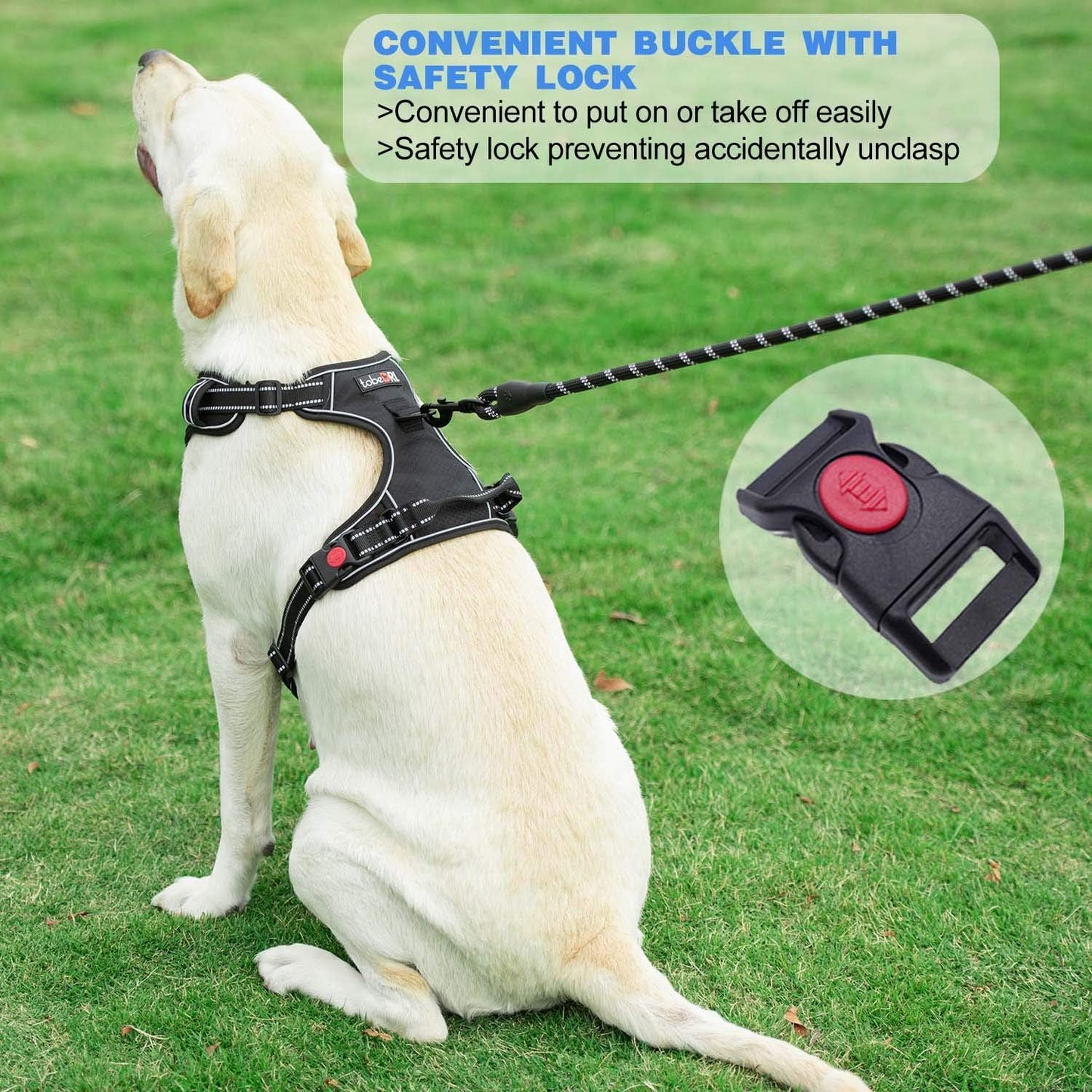 No Pull Harness with A Free Heavy Duty 5ft Leash for Medium Large Dog Adjustable Reflective Oxford Easy Control (L (Neck: 18"-25.5", Chest: 24.5"-33"), Black Harness+Leash)
