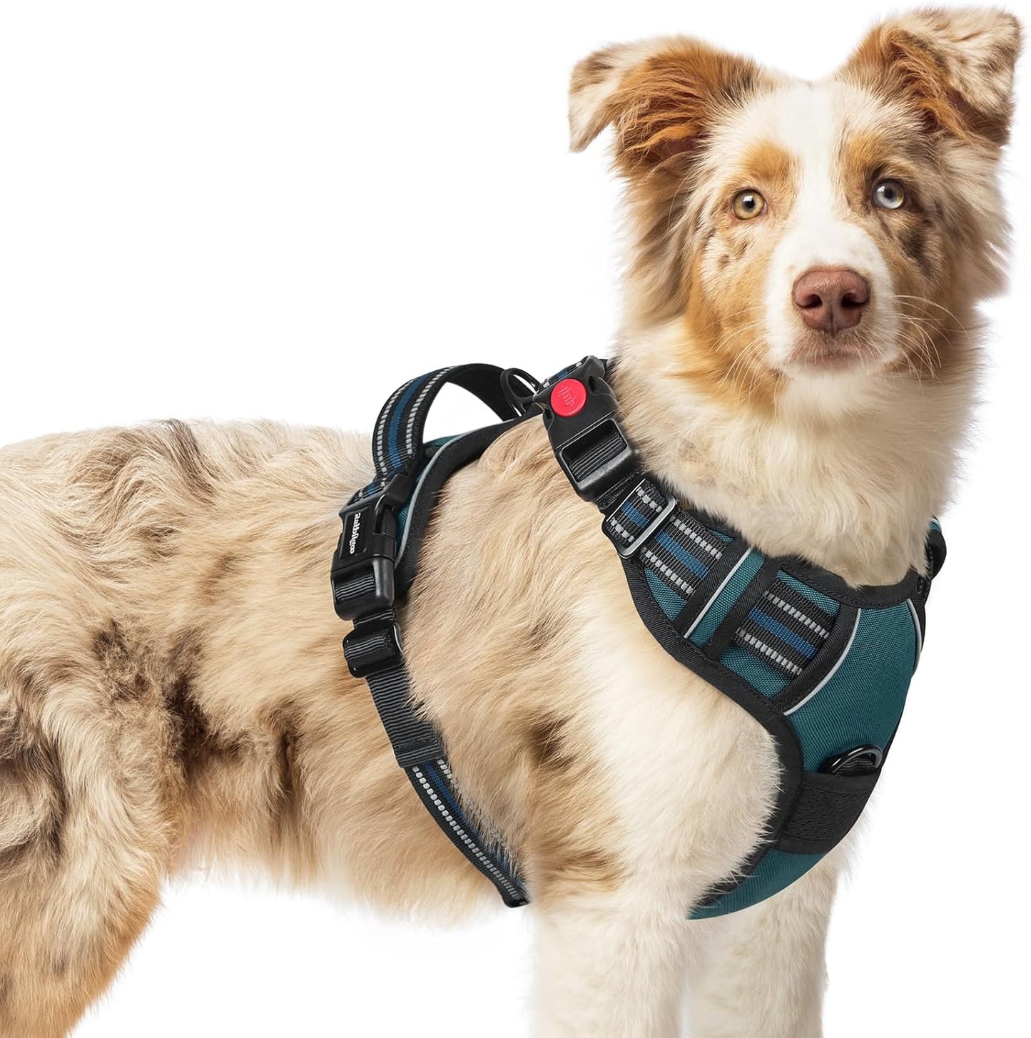 rabbitgoo Dog Harness Medium Sized, No Pull Pet Harness with 3 Buckles, Adjustable Soft Padded Vest with Control Handle, Walking Reflective Pet Vest for Medium Dogs, Blue Coral, M