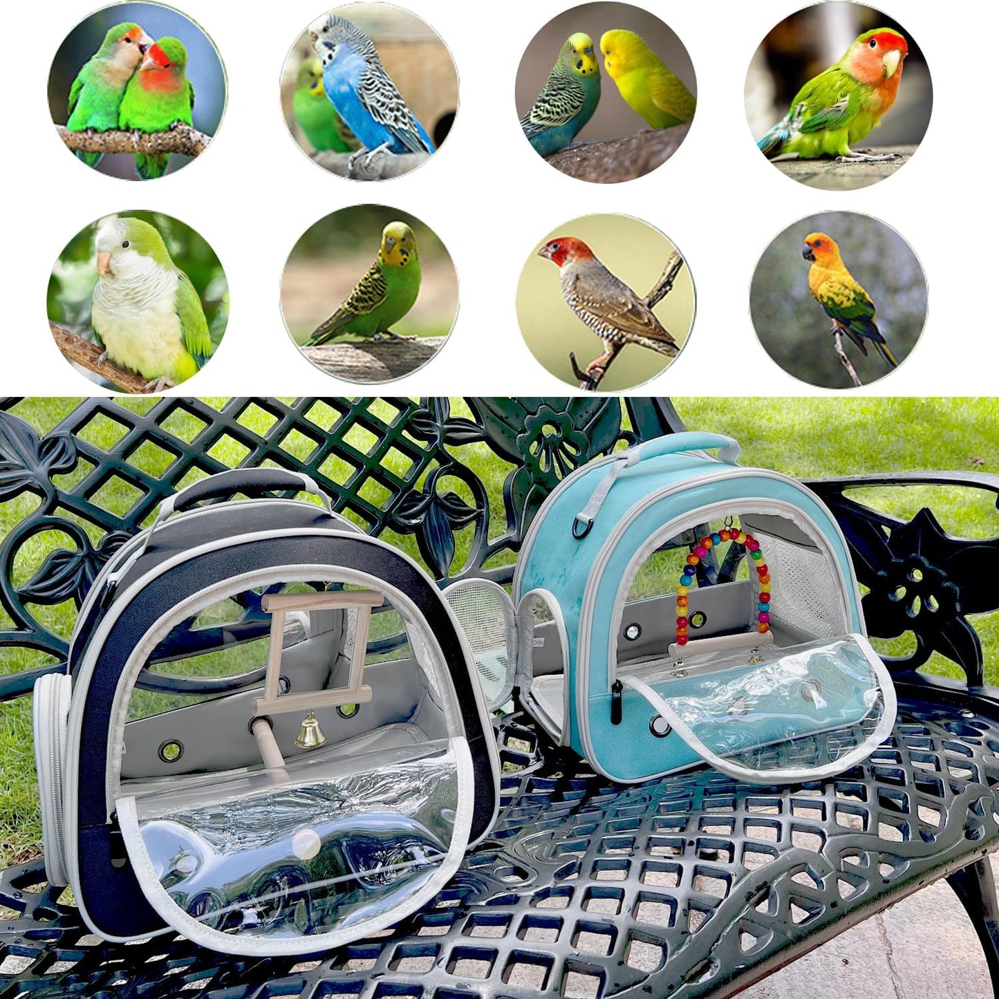 Portable Parrot Travel Cage Carrier with Small Swing Toy&Cage Colorful Toys Set Small Bird Parakeet Bag with Standing Perch Bird Carry Transport Bag (Green, Carrier/Mirror)