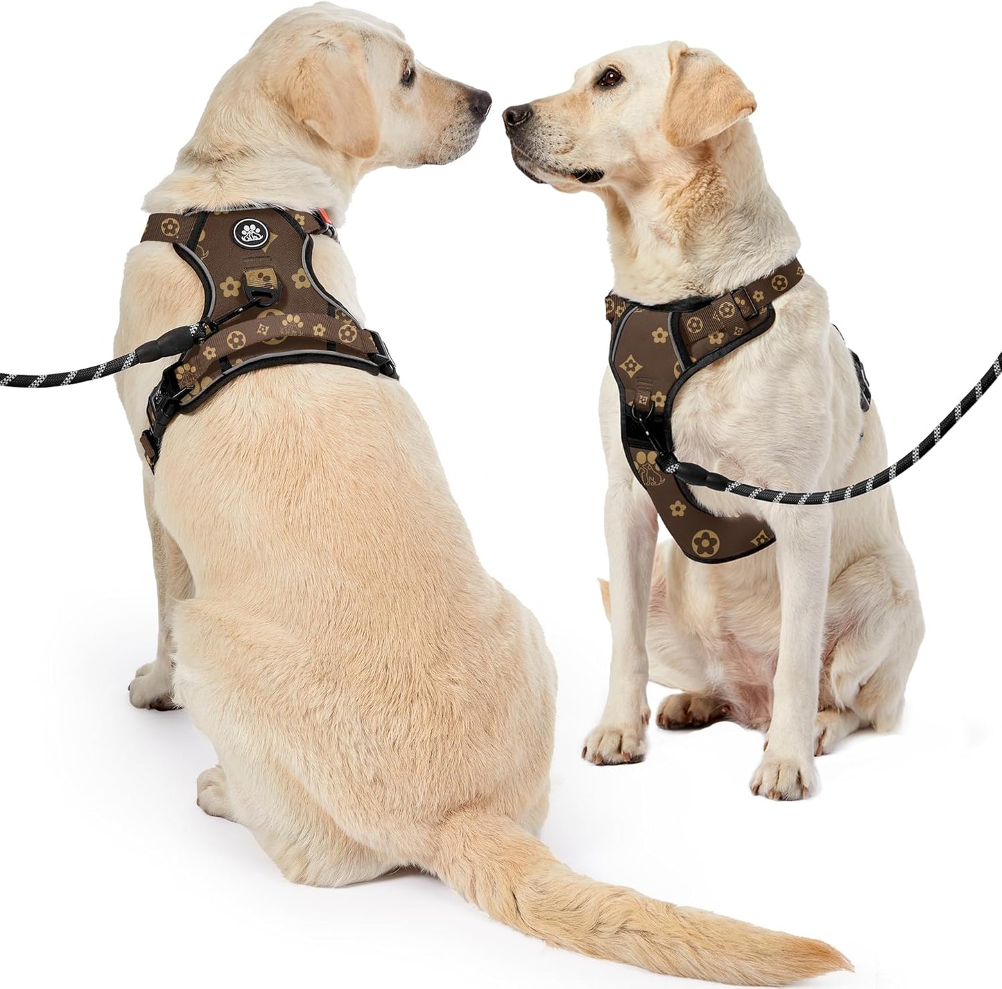 NESTROAD No Pull Dog Harness,Adjustable Oxford Dog Vest Harness with Leash,Reflective No-Choke Pet Harness with Easy Control Soft Handle for Small Dogs(Small,Dark Brown)