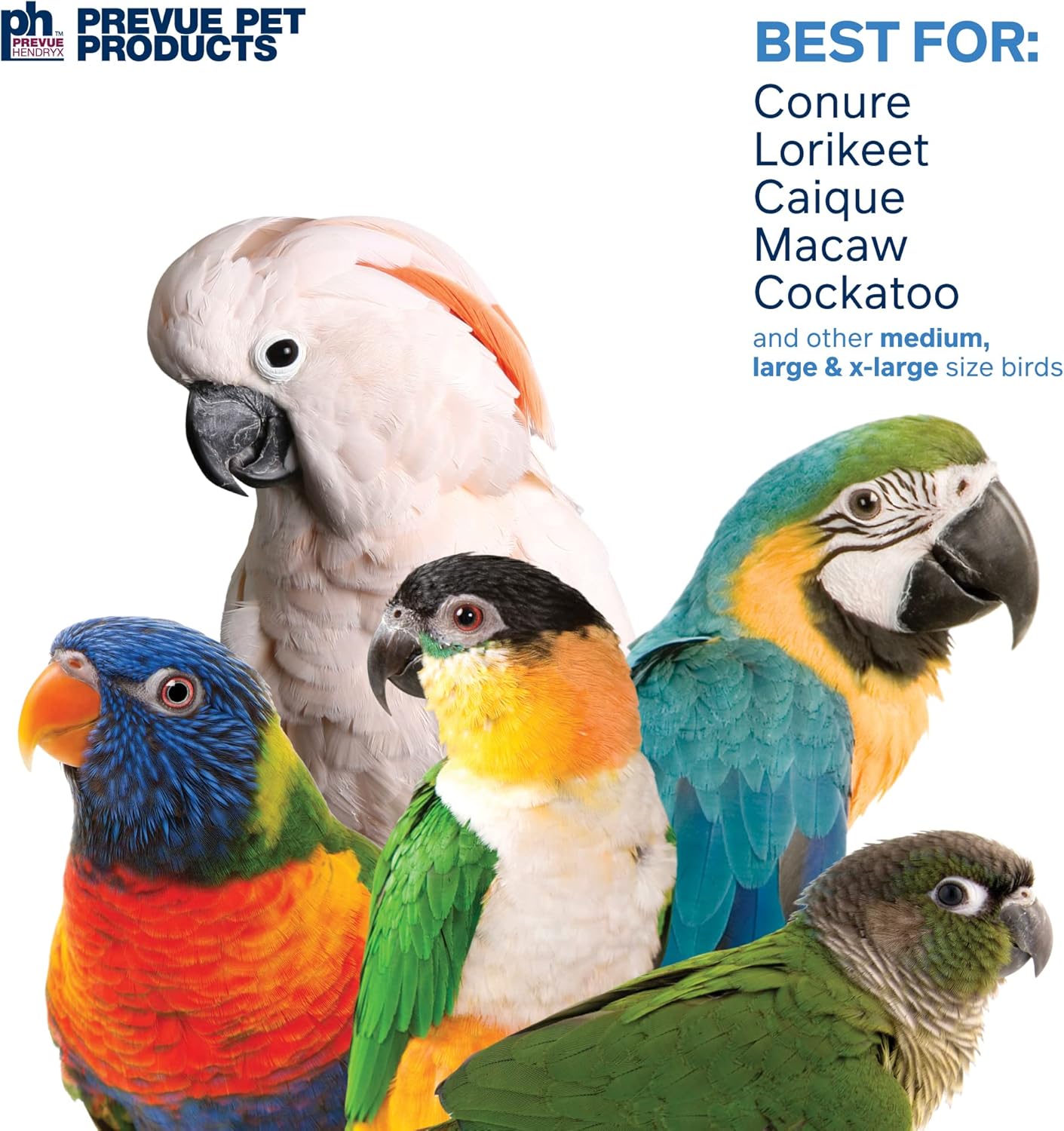 Prevue Pet Products 62607 Calypso Creations Dagwood Bird Toy, Multicolor