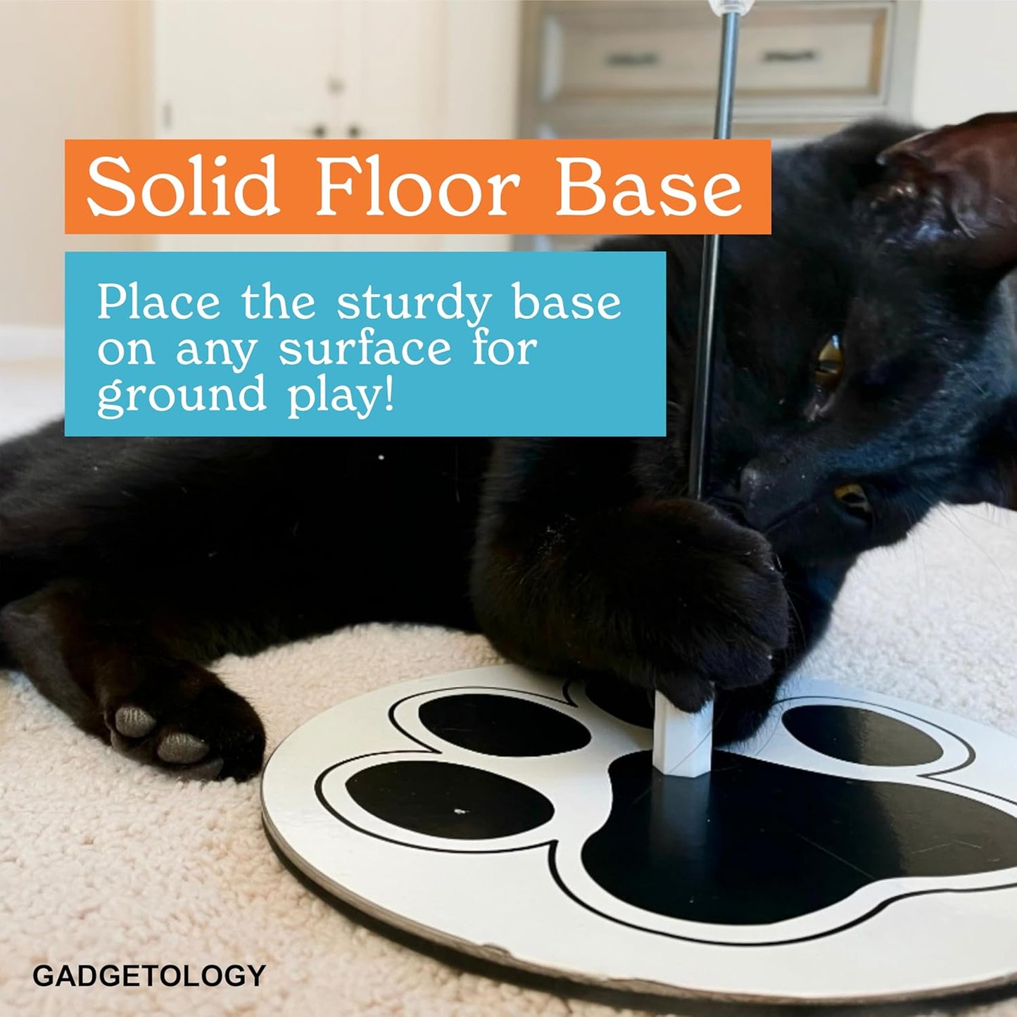 Interactive Bird Simulation Cat Toy Set for Bored Indoor Adult Cats Feather Toy Wand 5 Pcs Natural Bird Feathers Stable Round Base Wand Cat Toys for Indoor Cats Hunting Toys