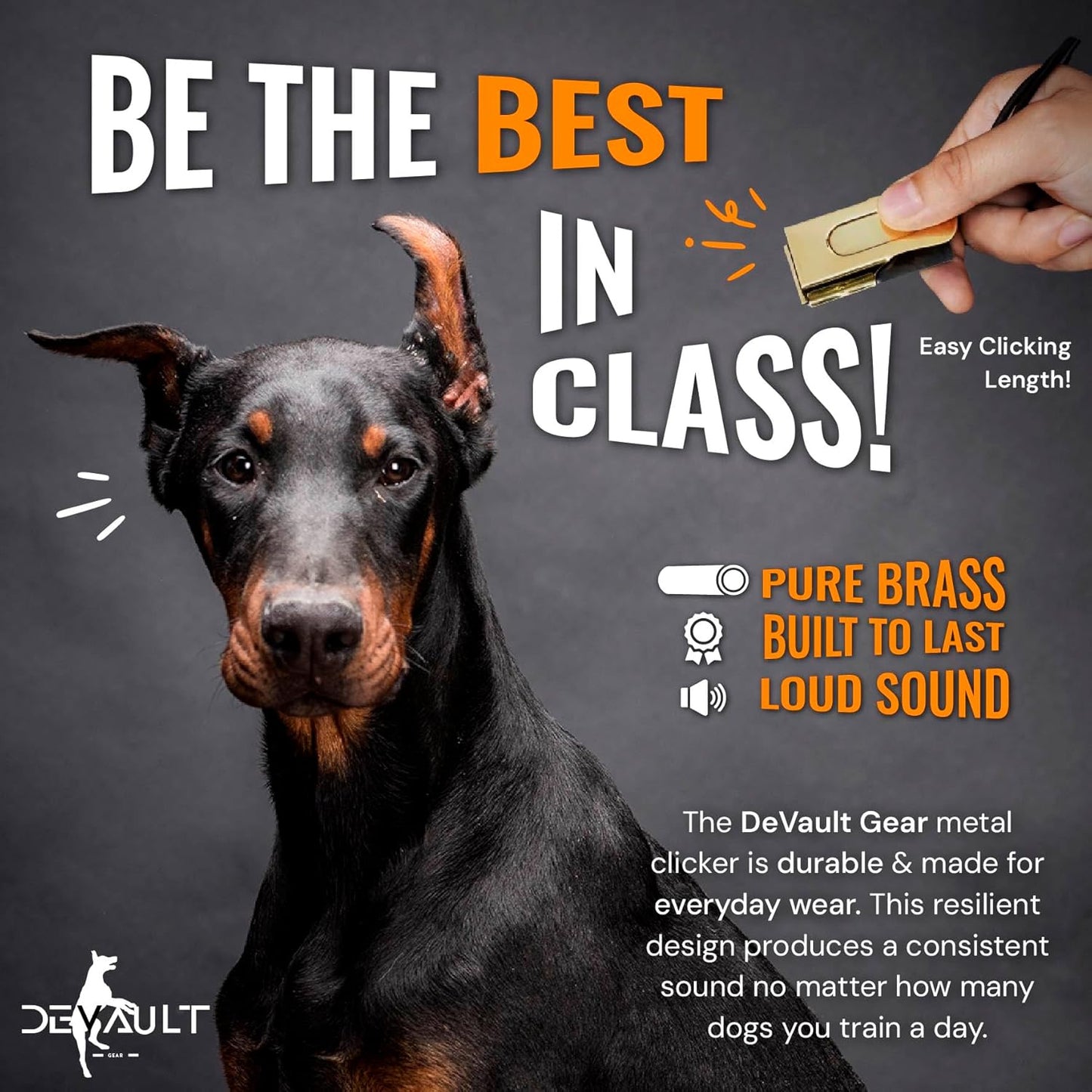 Gold Dog Clicker with Necklace - Clickers for Pet Training - Dog Training & Behavior Aids Easy to Carry with You Anywhere - Teach Your Dog Tricks or Reward His Behavior