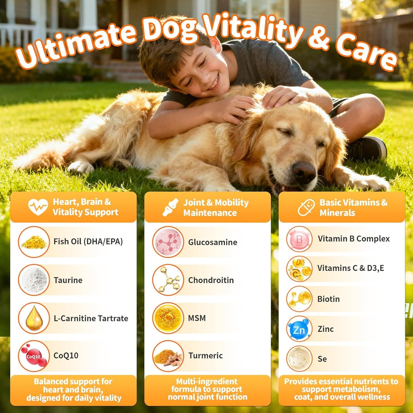 25-in-1 Dog Multivitamin Chews – All-in-One Daily Vitamins & Supplements for Dogs, Joint Support with Glucosamine MSM, Omega-3 Skin & Coat, Gut, Heart & Brain, All Breeds & Ages, Beef, 60Ct