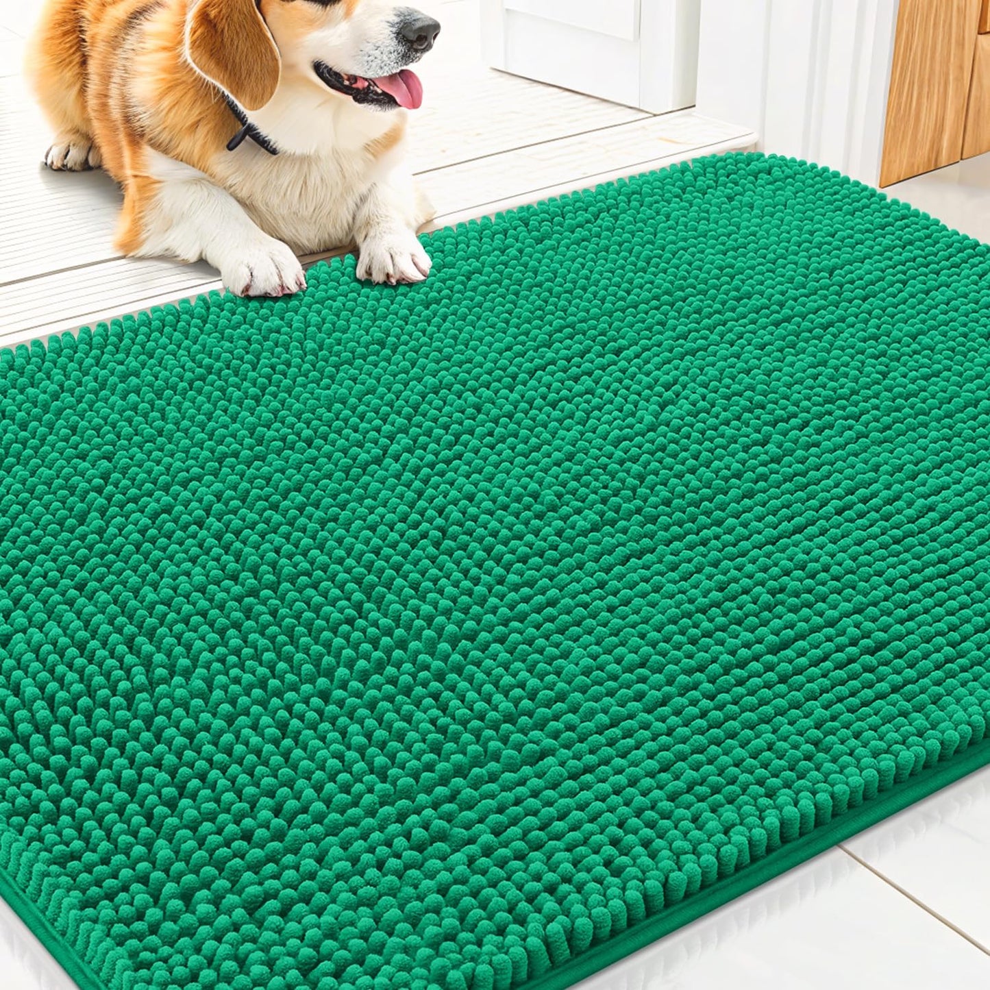 Smiry Dog Door Mat for Muddy Paws 30x20, Absorbs Moisture and Dirt Doormat, Non-Slip Washable Quick Dry Chenille Front Door Mat Indoor Entrance, Entryway Carpet for Inside Floor, Emerald Green